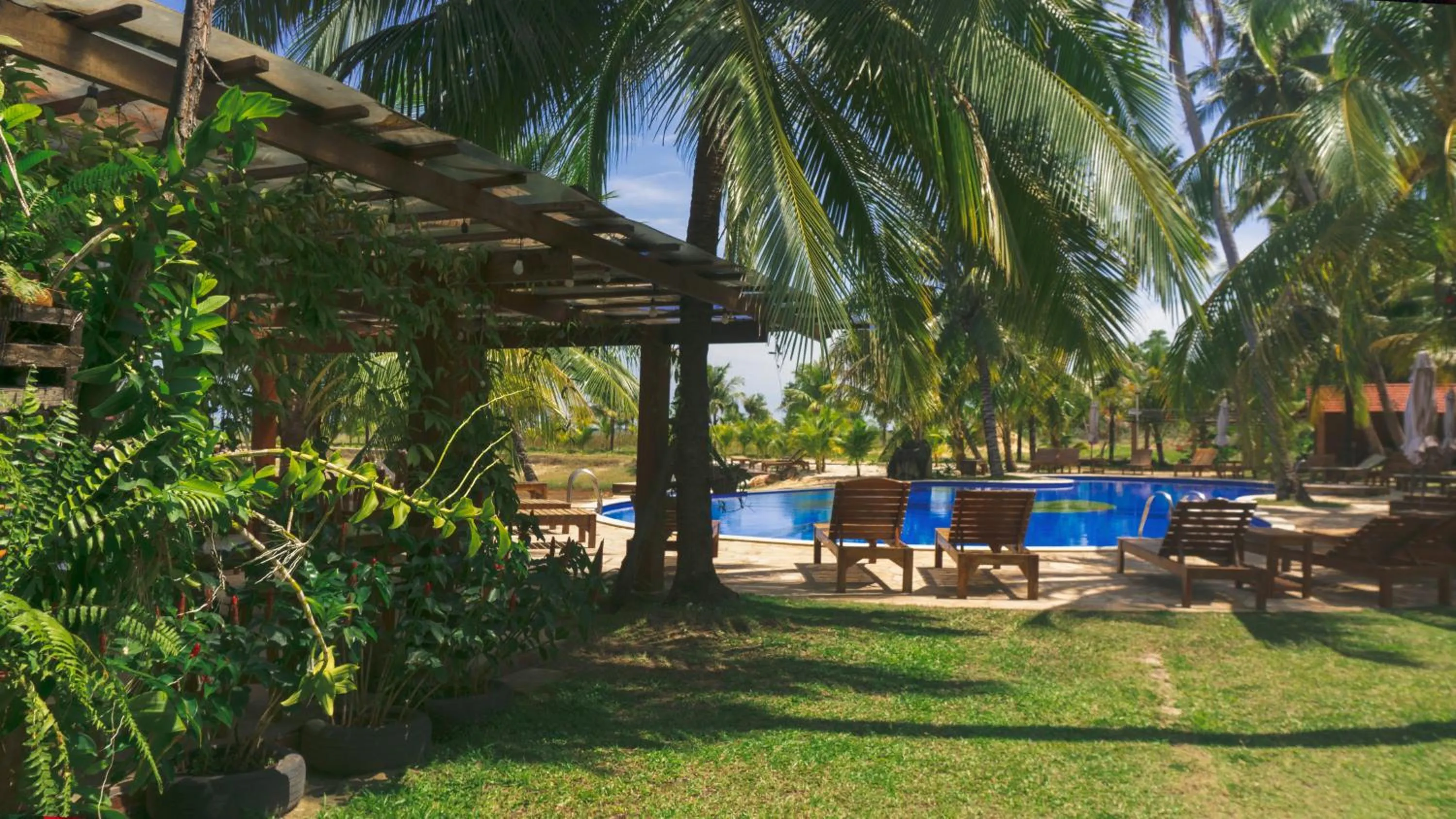 Swimming pool in Mango Beach Resort