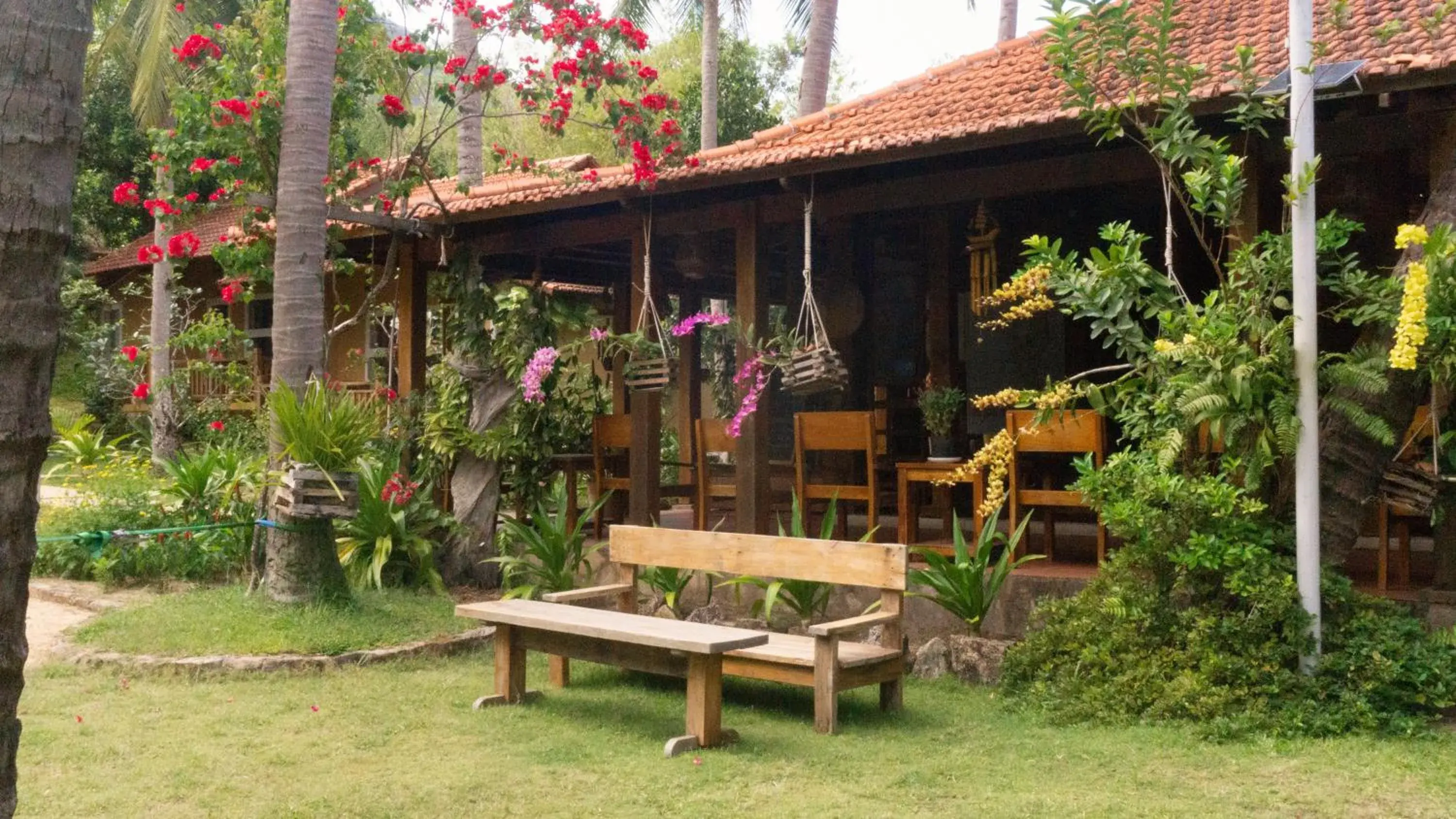 Restaurant/places to eat in Mango Beach Resort Restaurant/places to eat in Mango Beach Resort