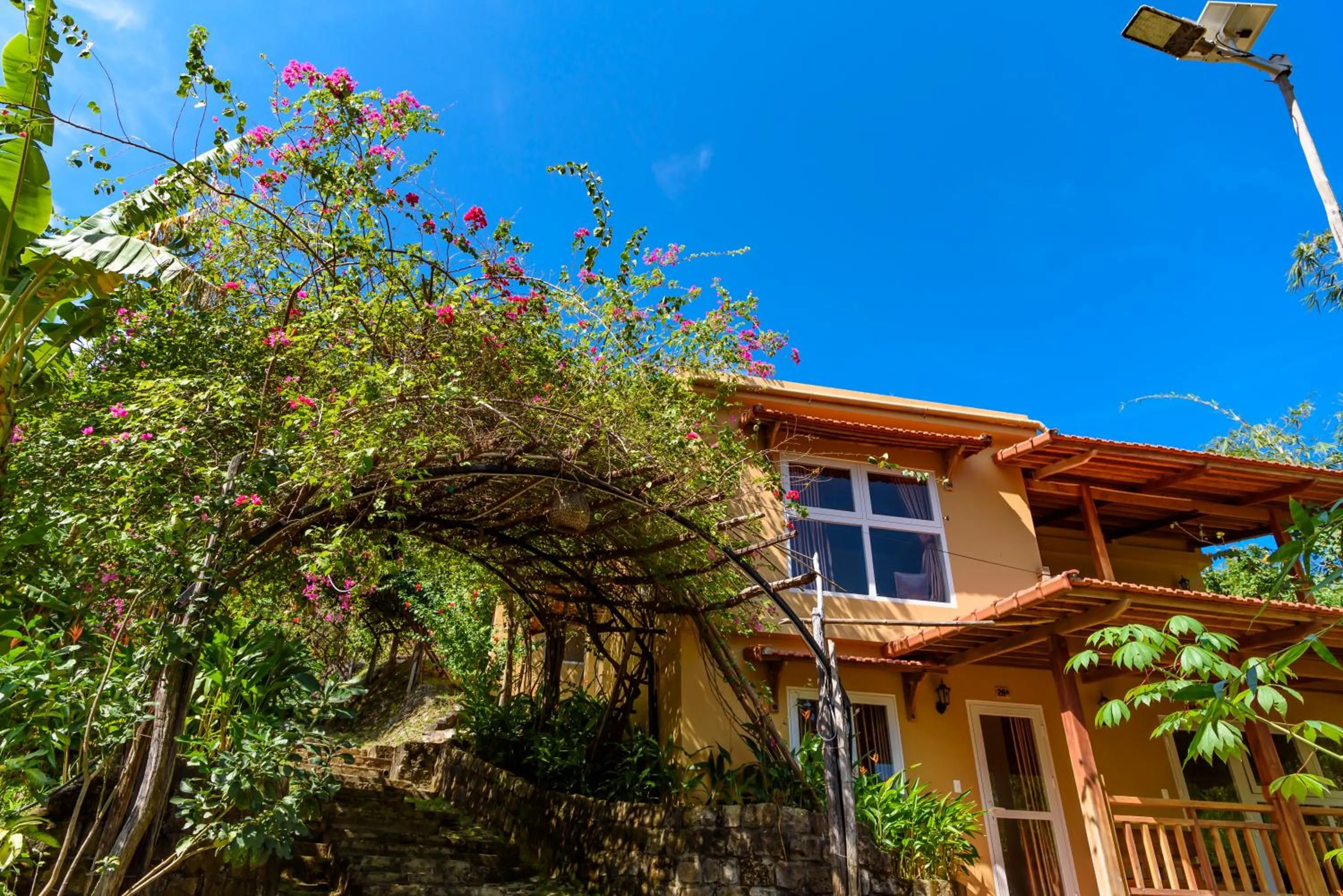 Property building in Mango Beach Resort