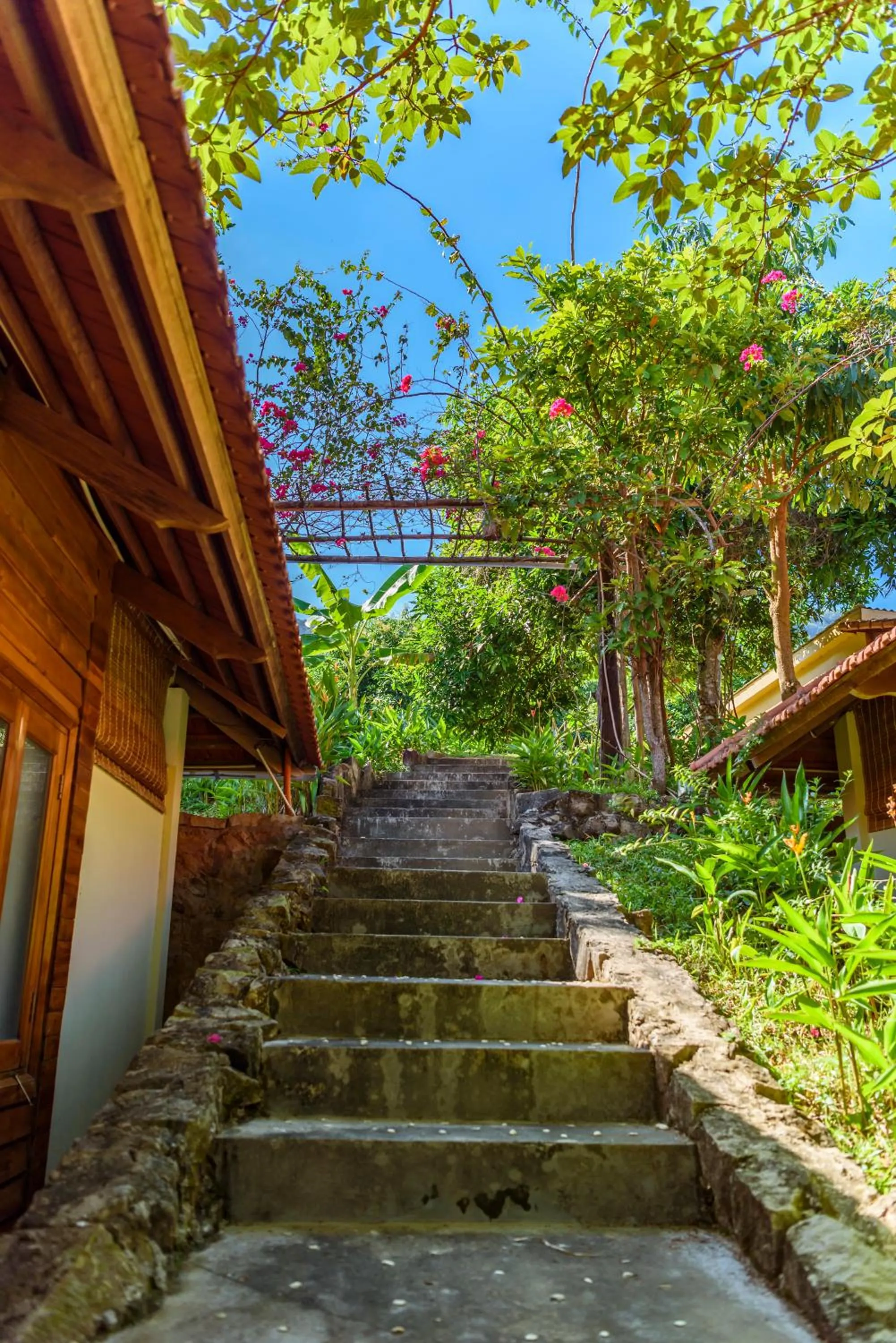 Area and facilities in Mango Beach Resort