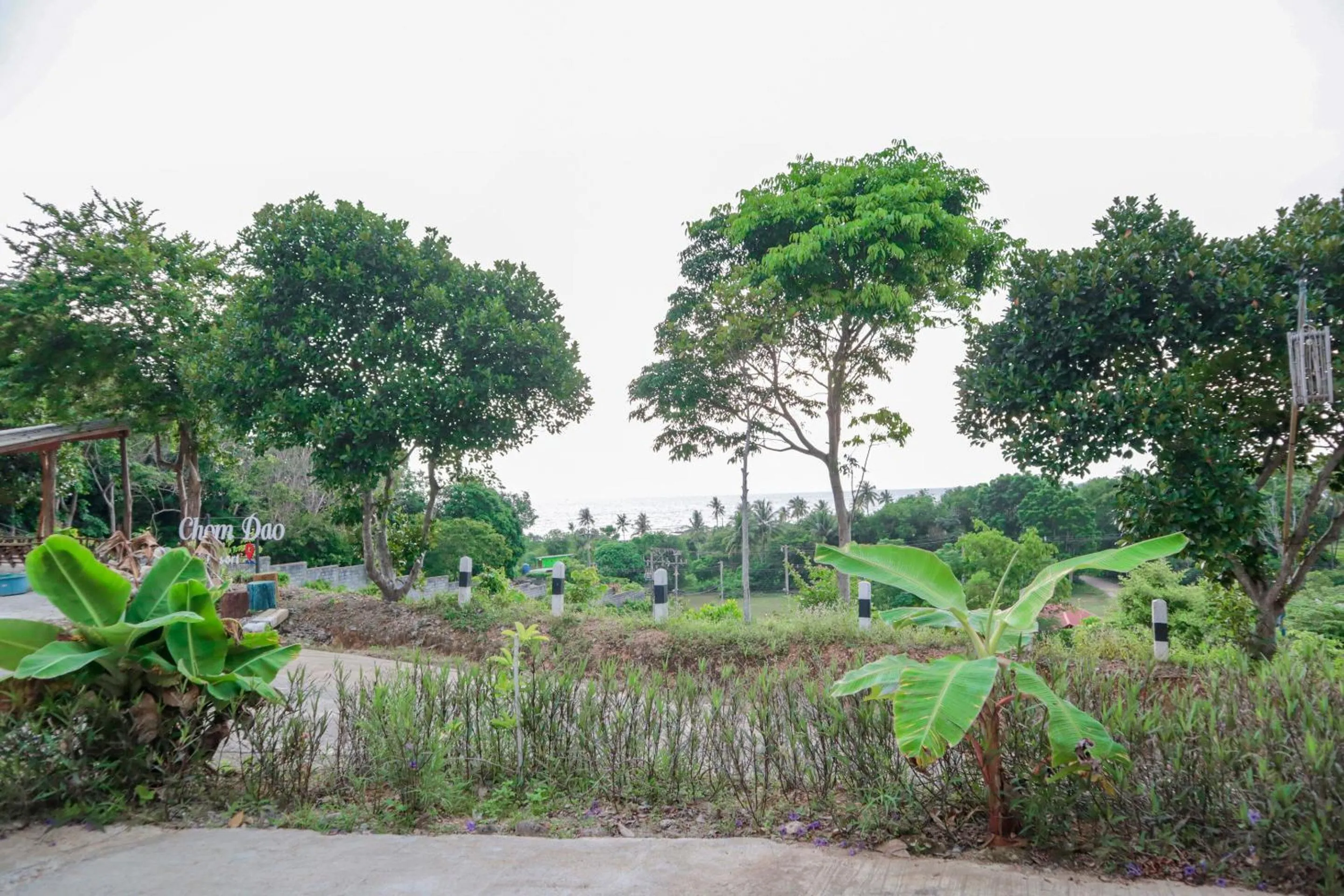 Other in Chom Dao Resort