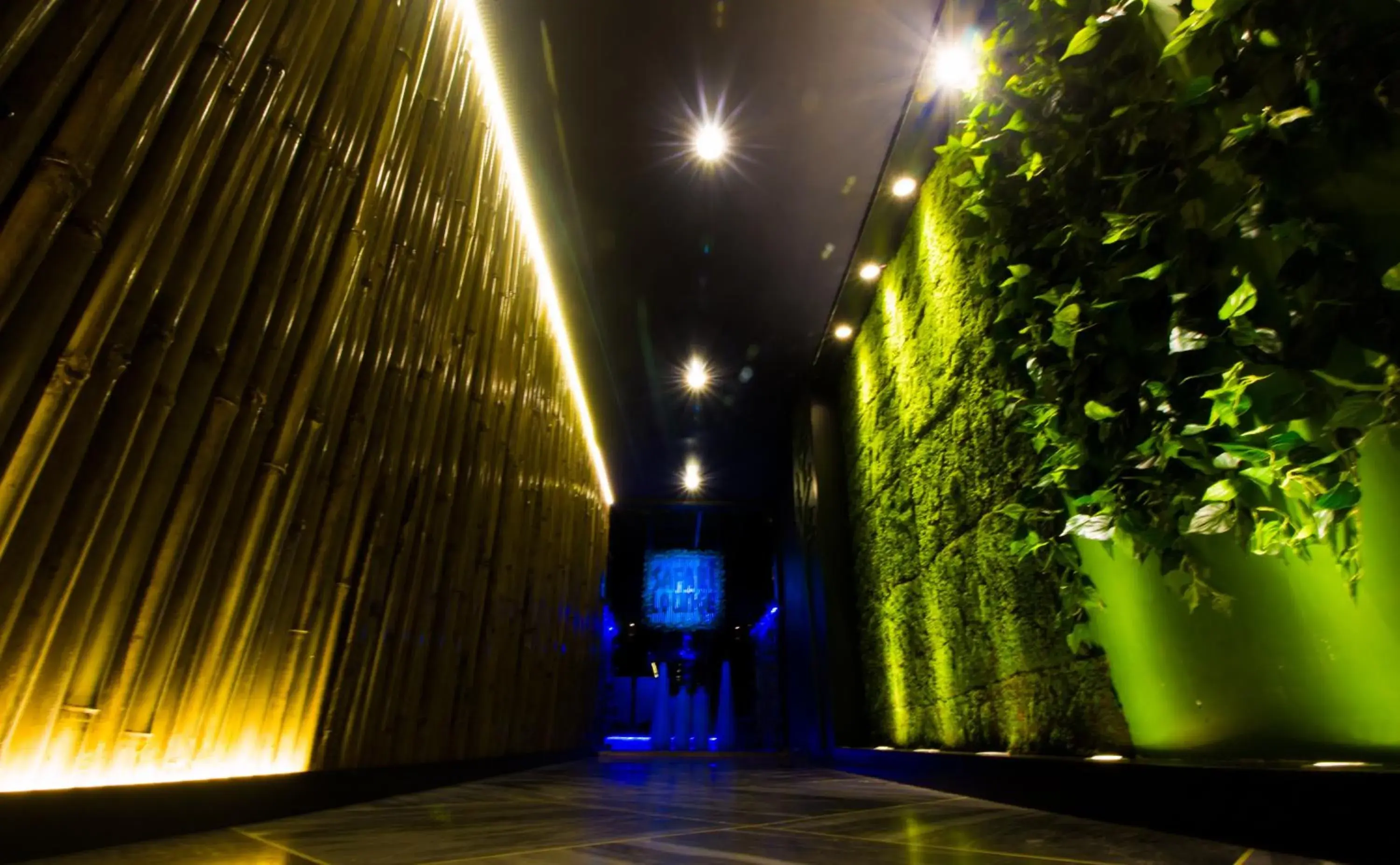 Restaurant/places to eat in Hotel Mittal Paradise Restaurant/places to eat in Hotel Mittal Paradise