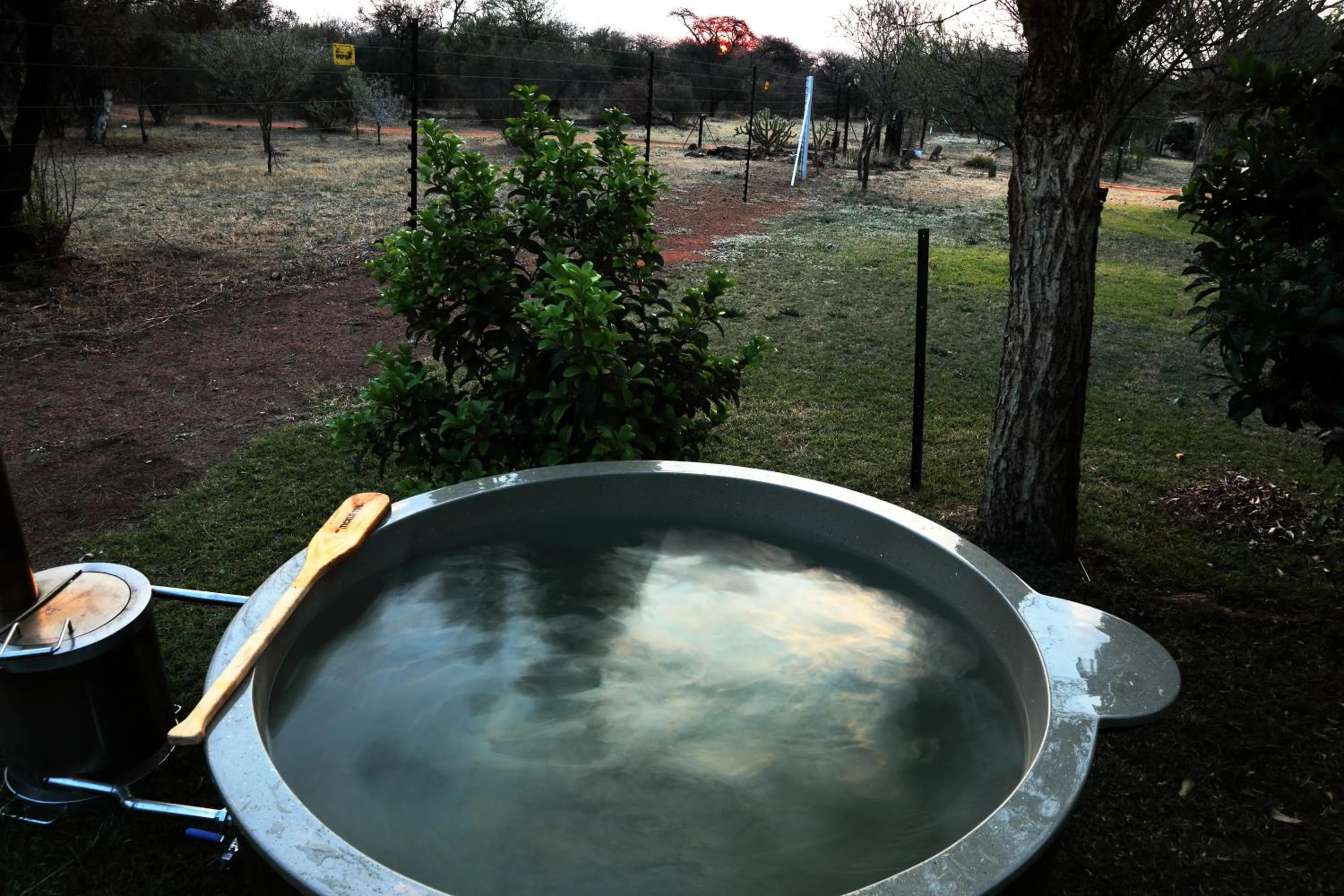 Thorn Tree Bush Camp
