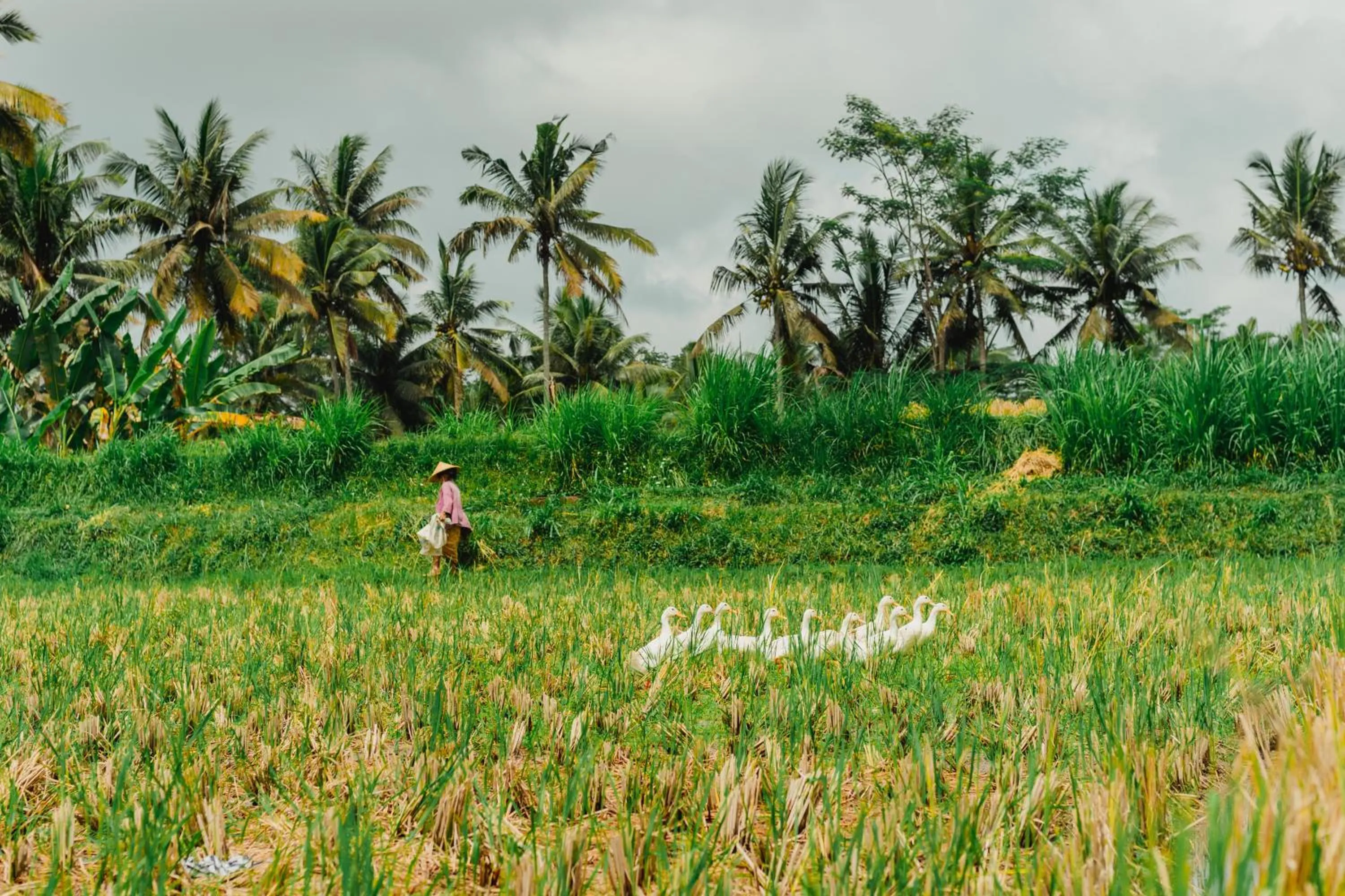 Activities in Hoshinoya Bali