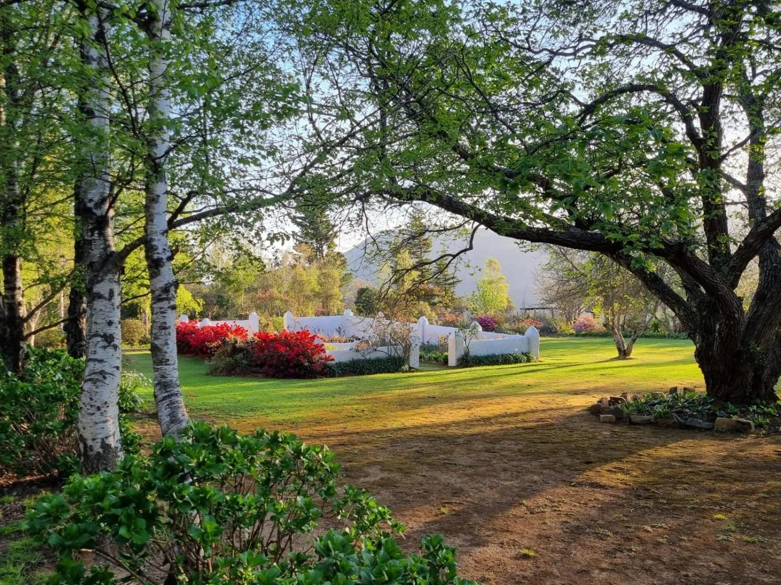 Garden in The Edge Mountain Retreat