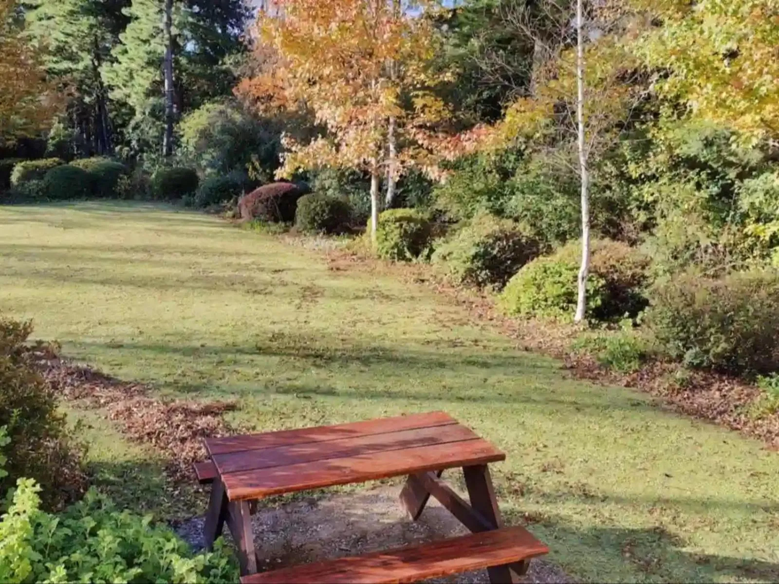 View (from property/room) in The Edge Mountain Retreat