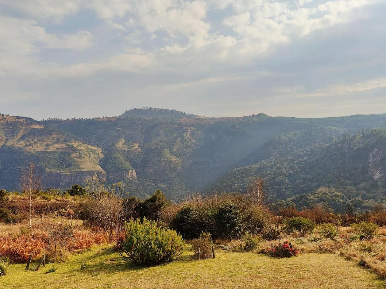 View (from property/room) in The Edge Mountain Retreat