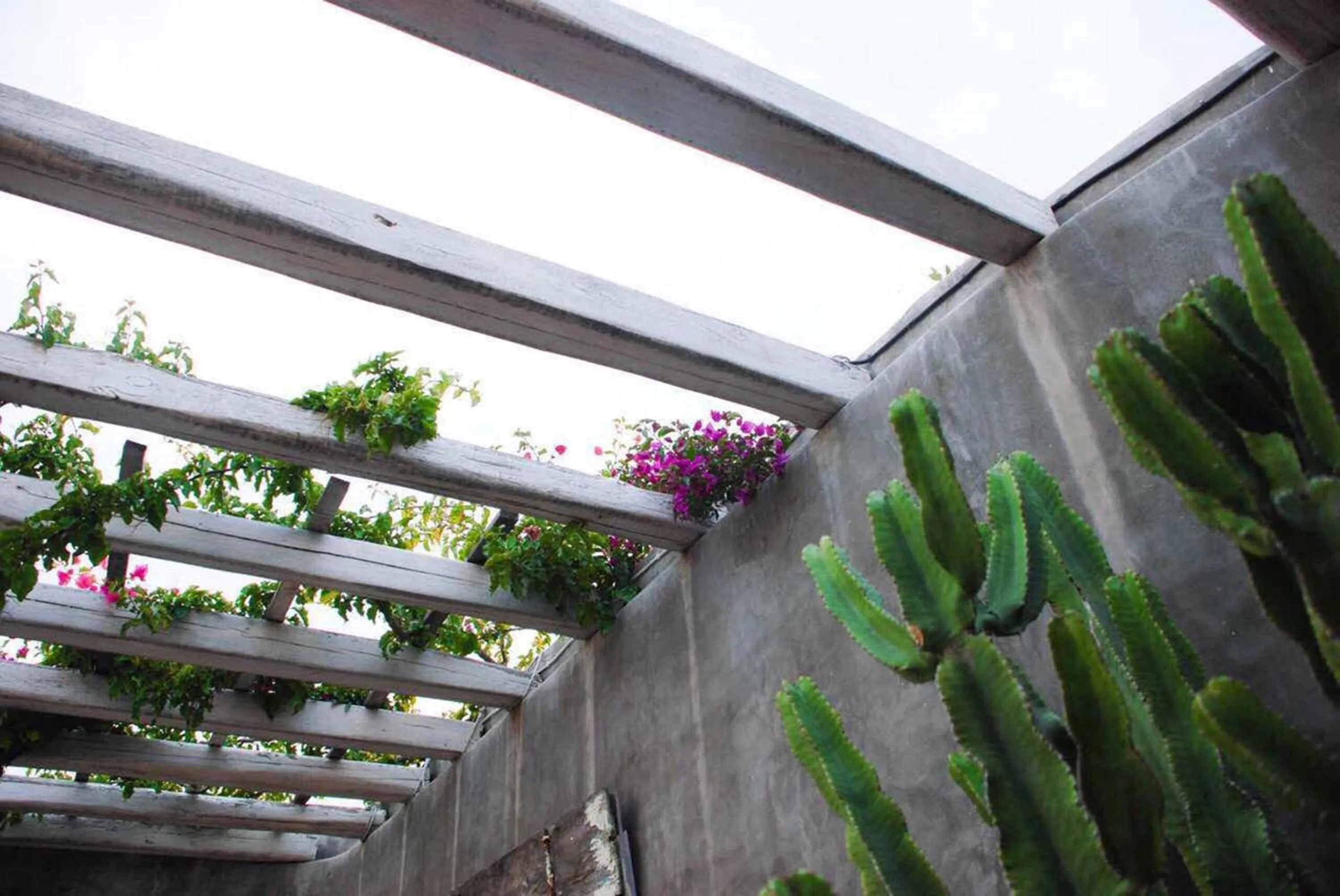 Decorative detail in Aletro Cottage Houses