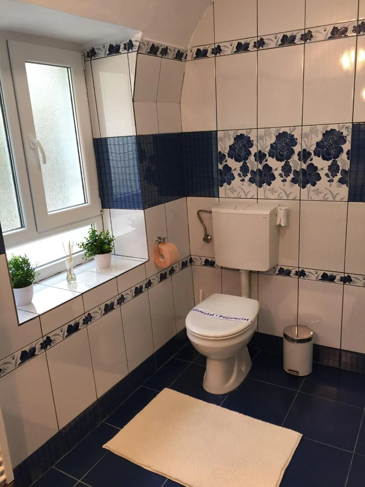 Toilet in Xenopol Central
