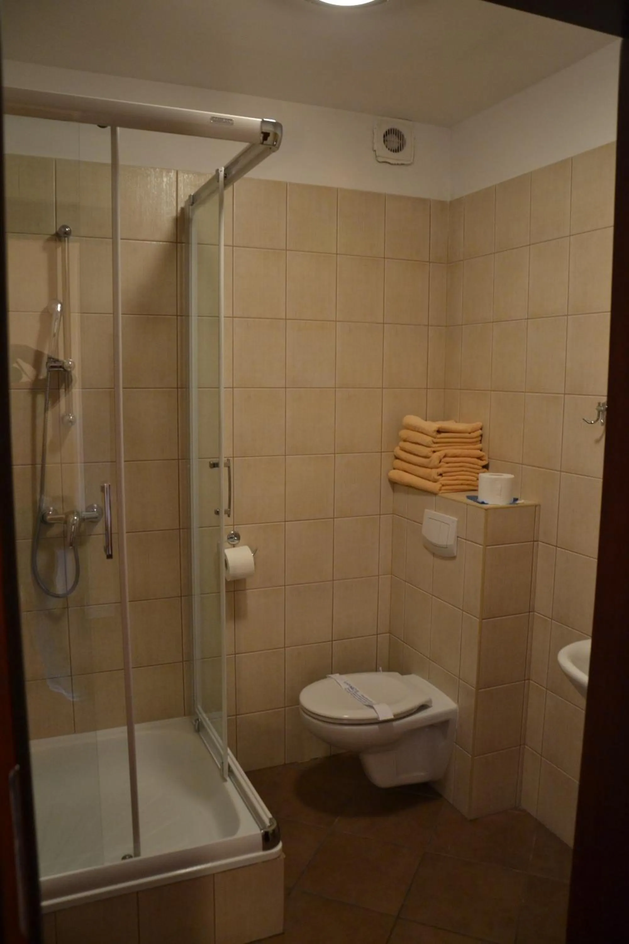 Shower in Hotel Gryf