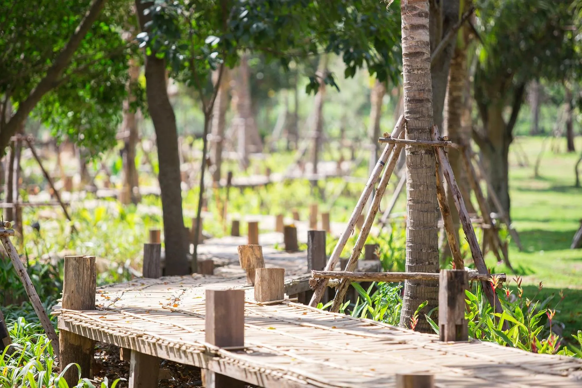 Area and facilities in The Series Resort Khaoyai