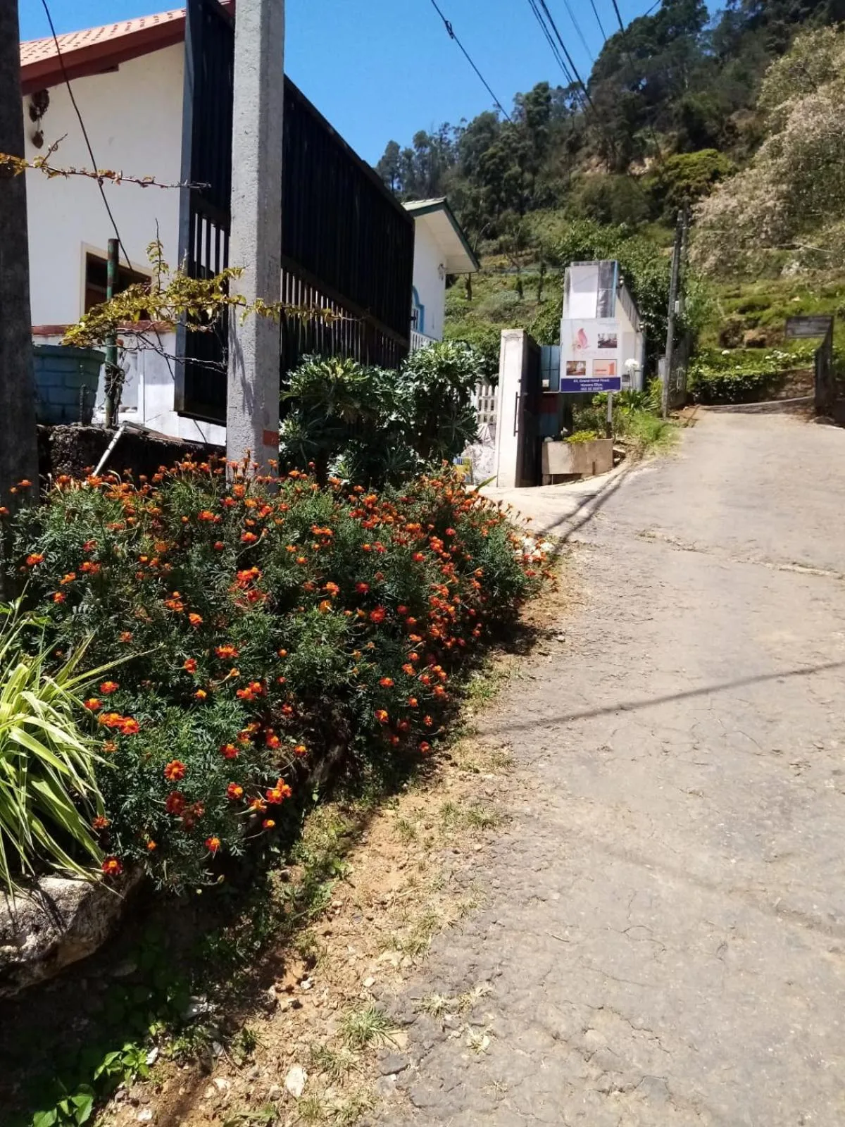 Other in Ovia Guest Nuwara Eliya