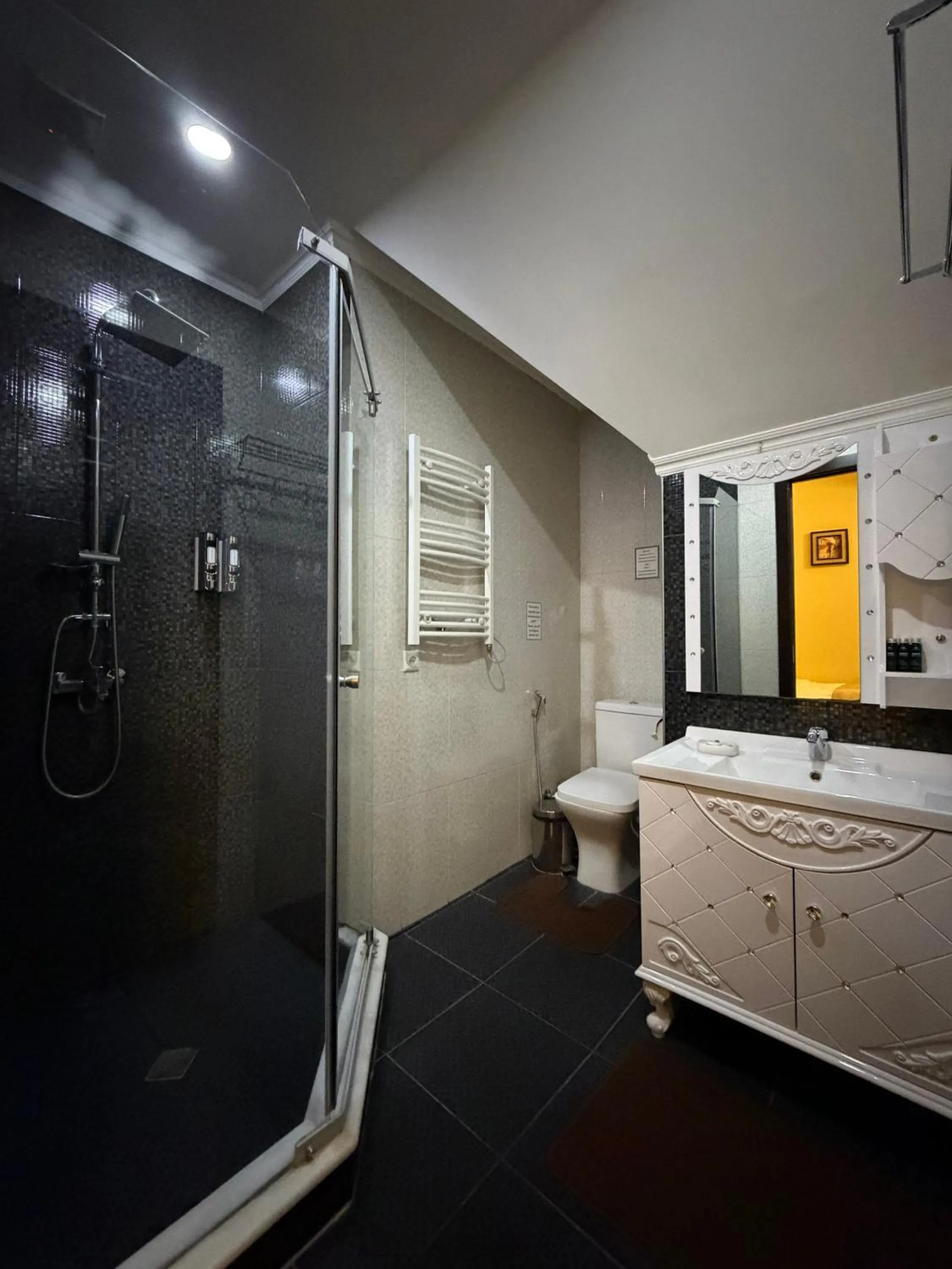 Shower in S&L Boutique Hotel