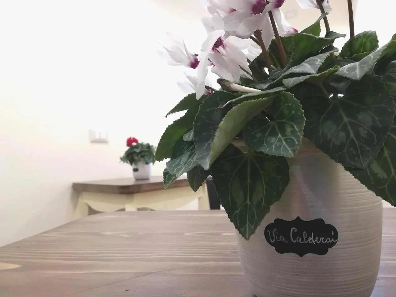 Decorative detail in Persiane al Cassaro