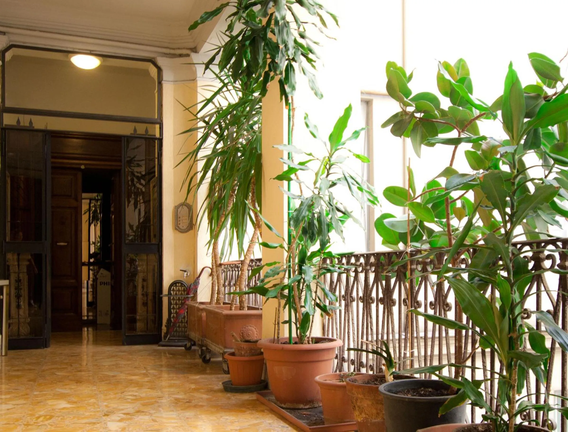 Facade/entrance in Guesthouse Borromeo Roma