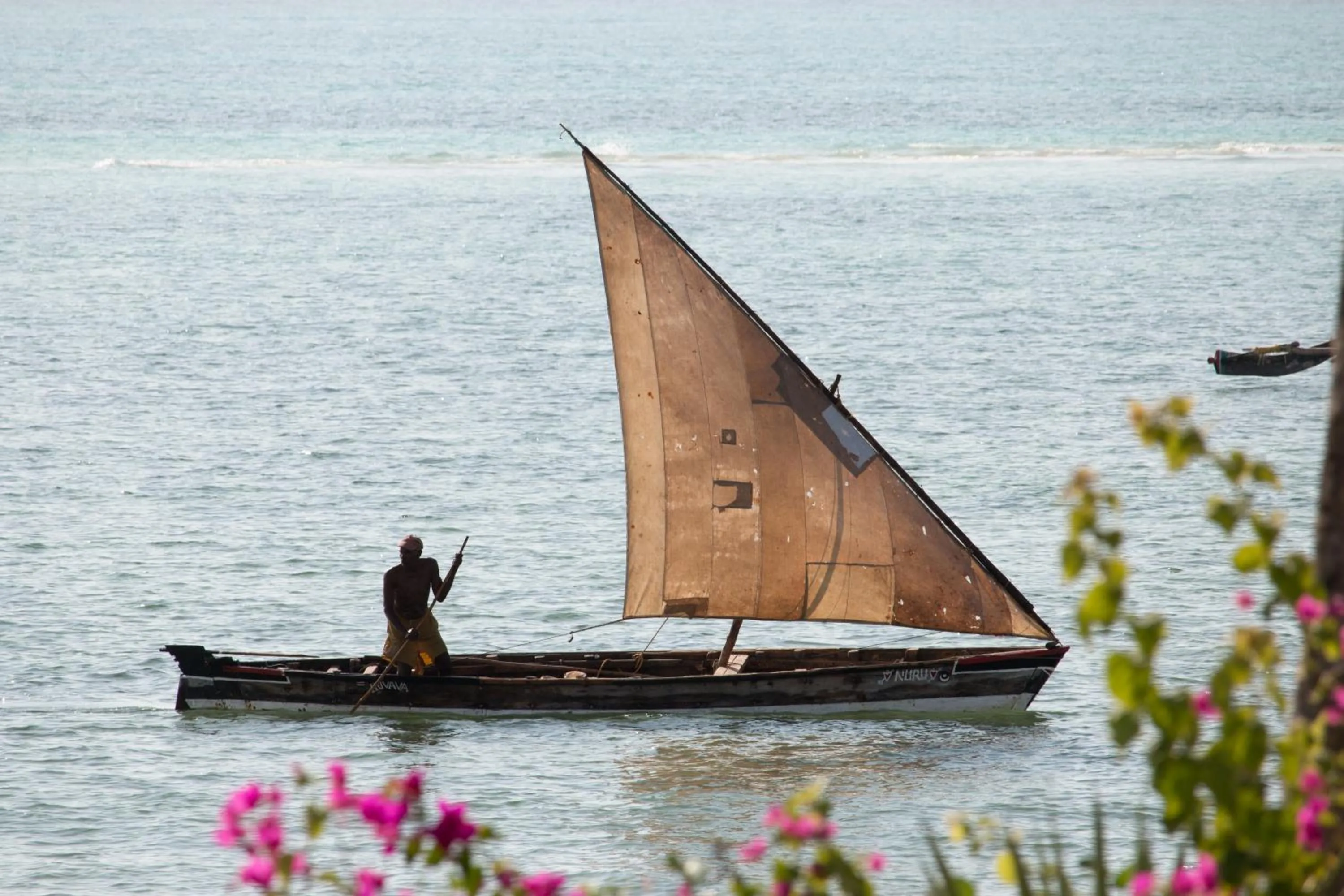 Natural landscape in Alawi Home