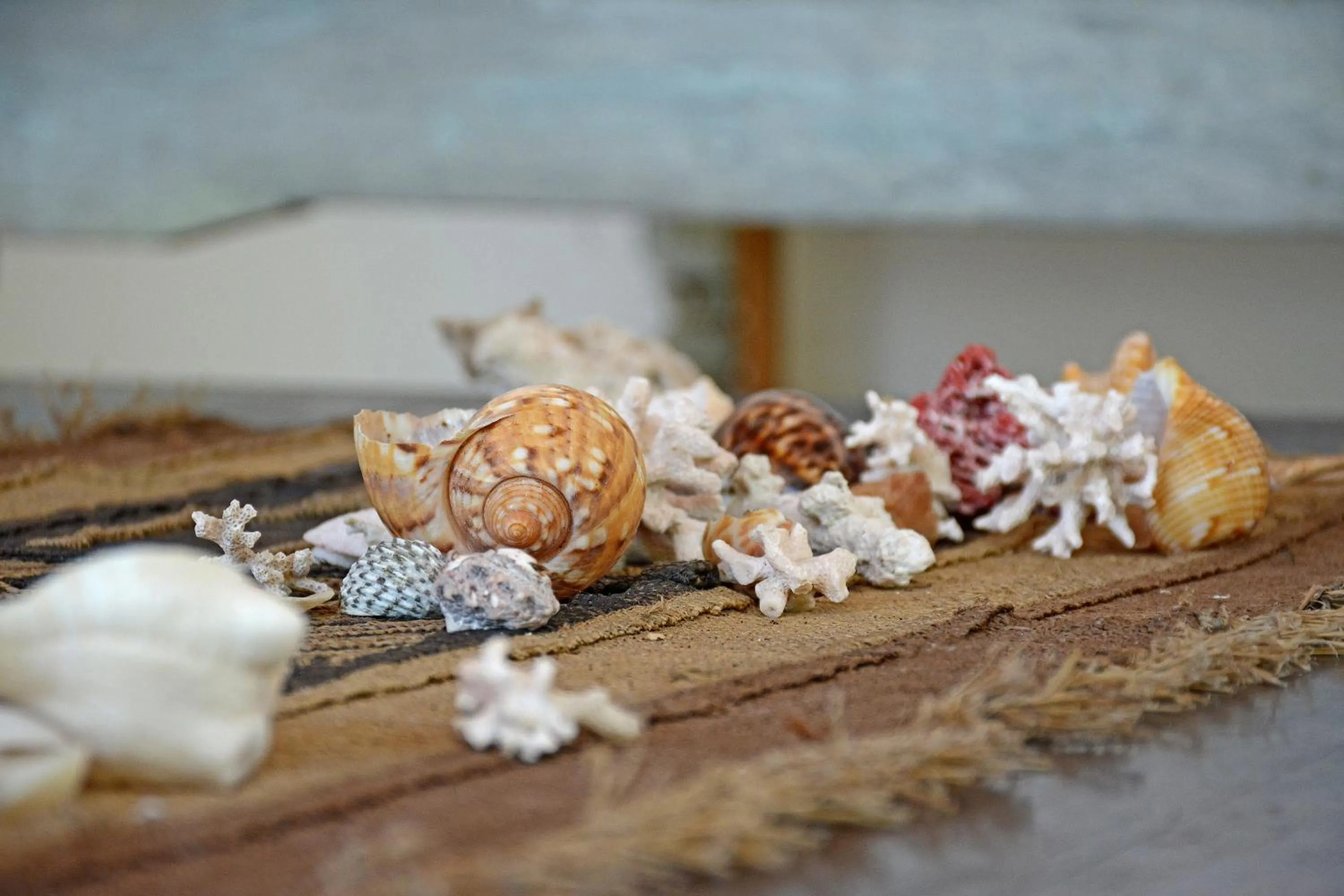 Decorative detail in Alawi Home