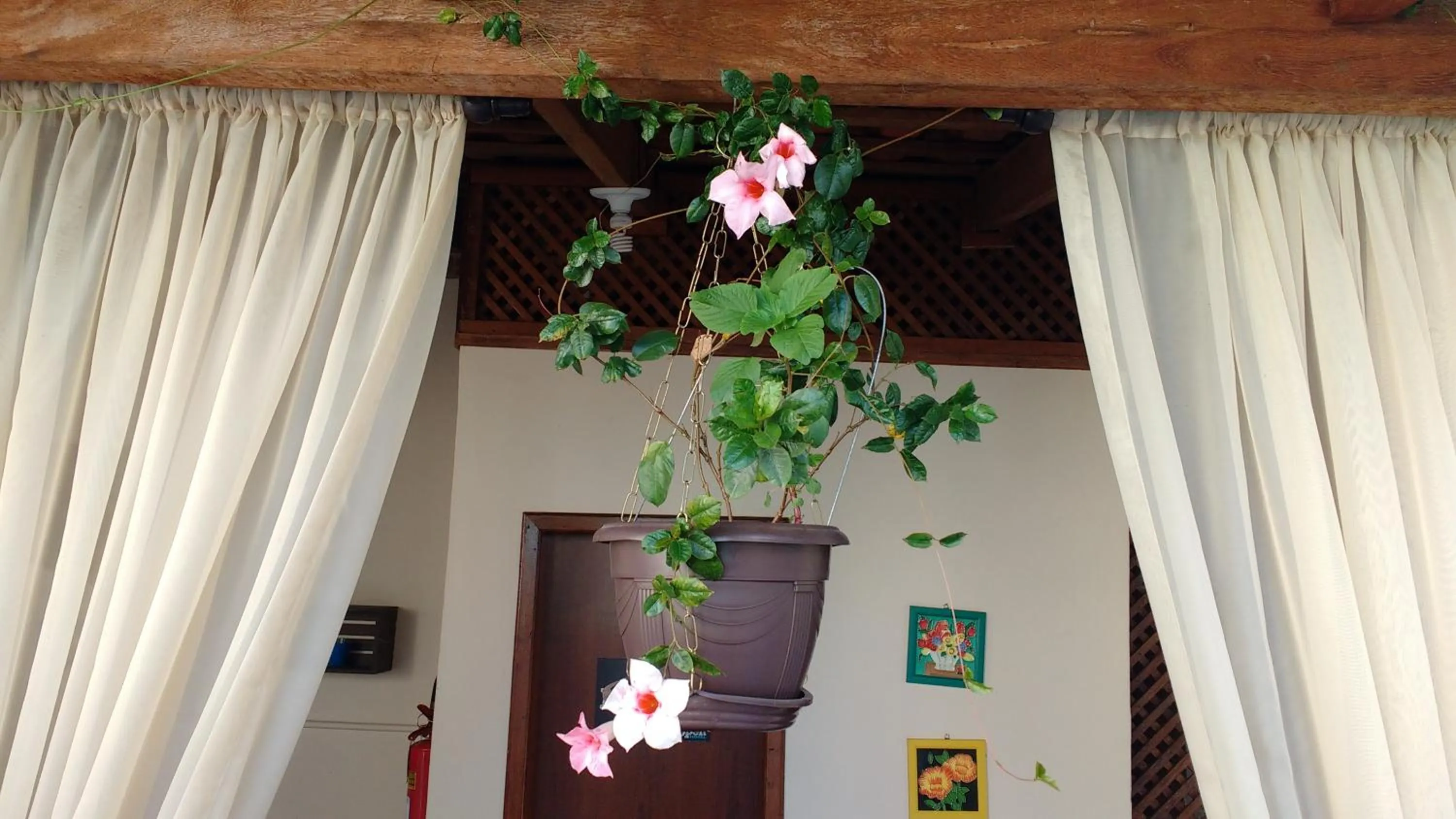 Area and facilities in Open Hotel