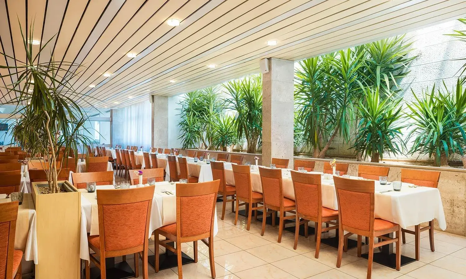 Restaurant/places to eat in Marko Polo Maradiso Hotel by Aminess Restaurant/places to eat in Marko Polo Maradiso Hotel by Aminess