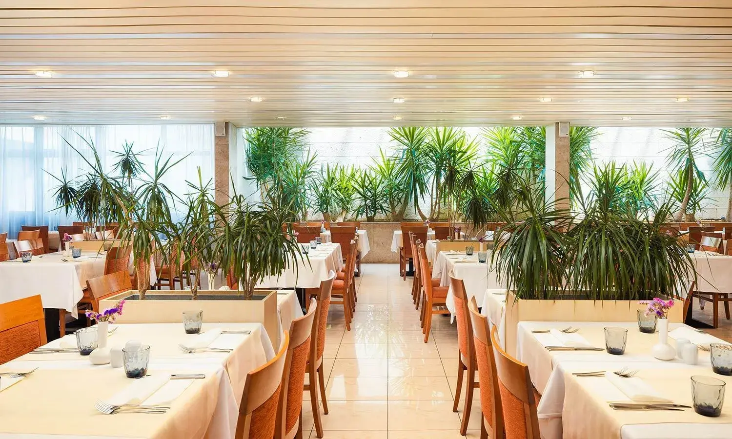 Restaurant/places to eat in Marko Polo Maradiso Hotel by Aminess Restaurant/places to eat in Marko Polo Maradiso Hotel by Aminess