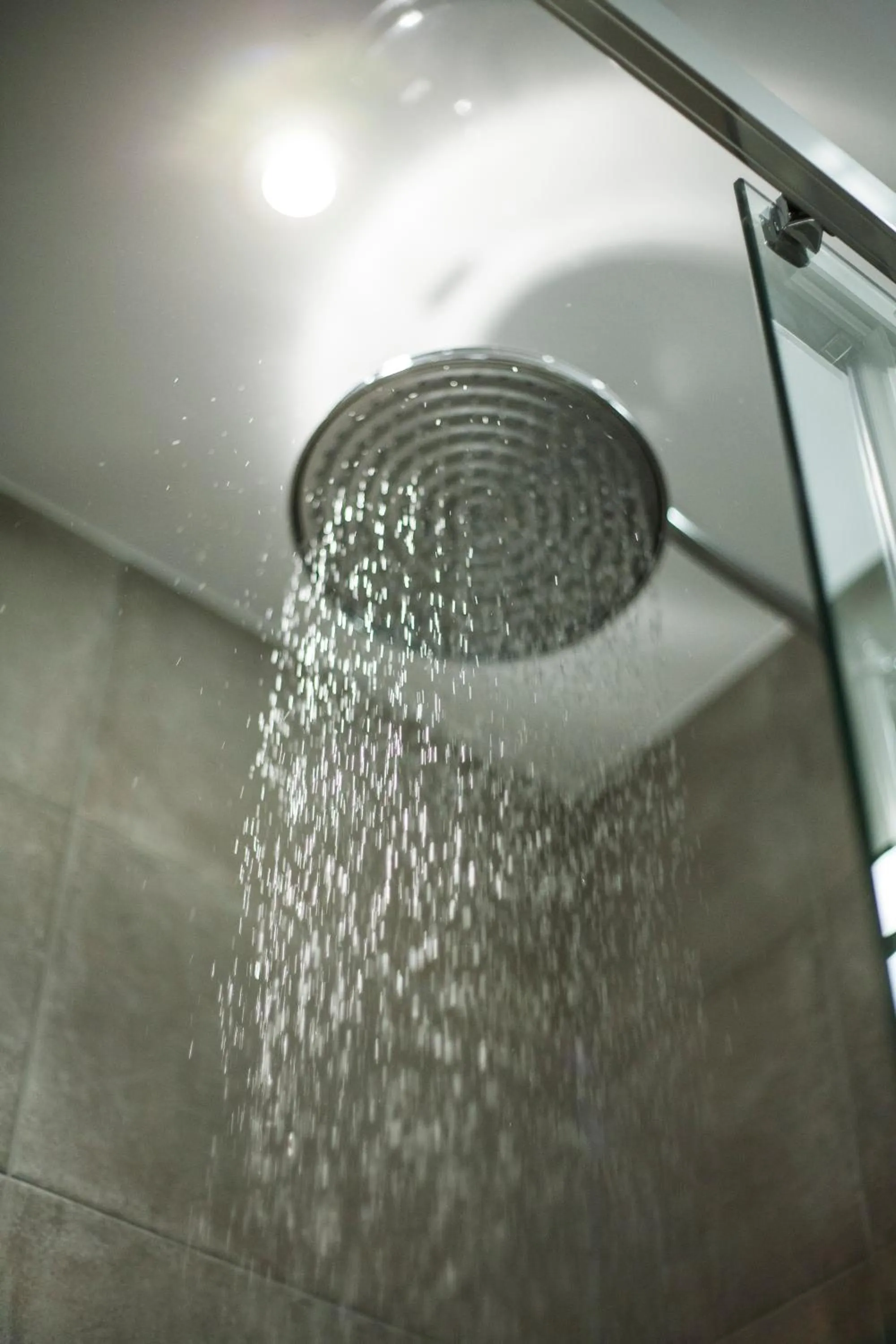 Shower in The House of Toby