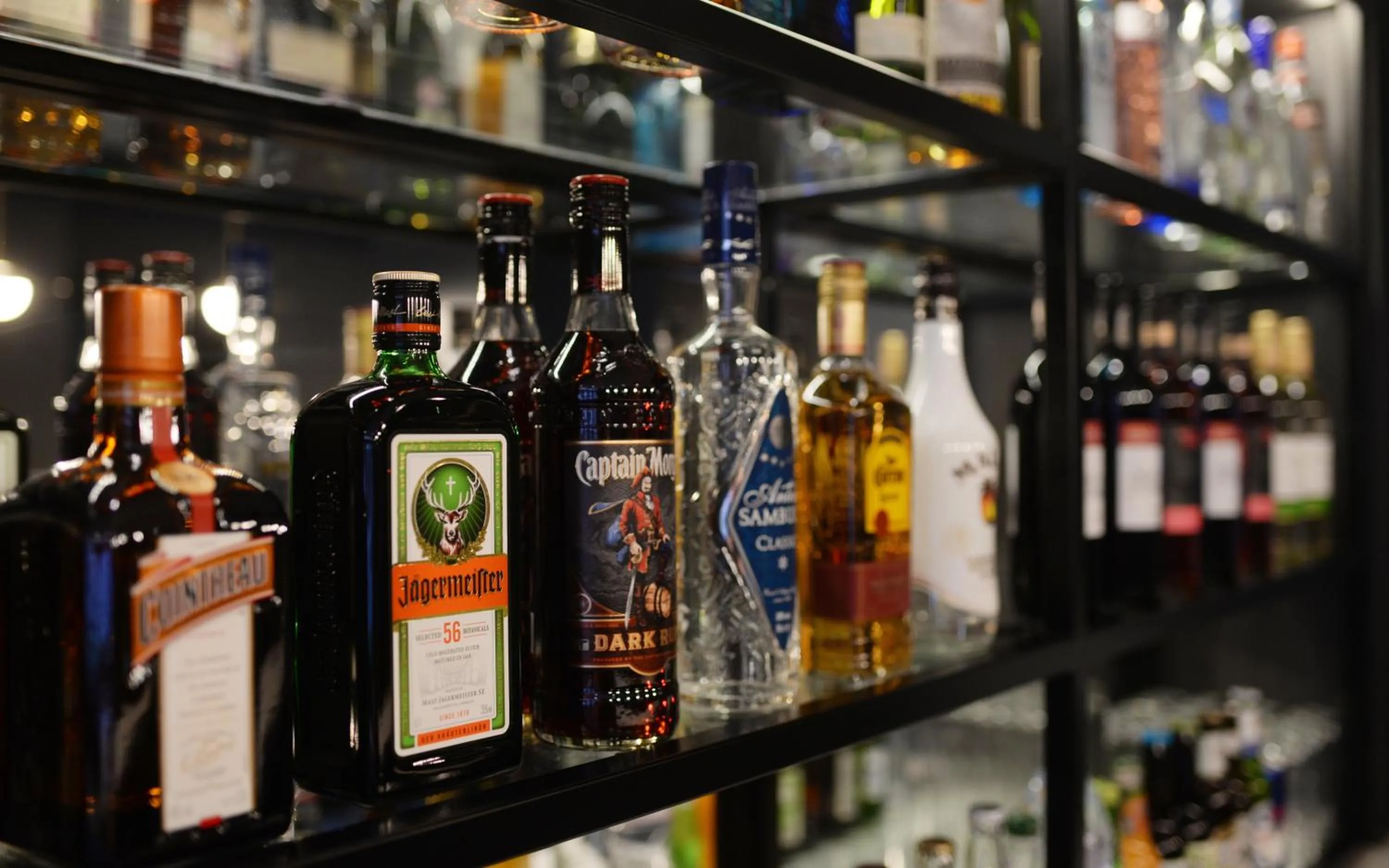 Lounge or bar in The House of Toby