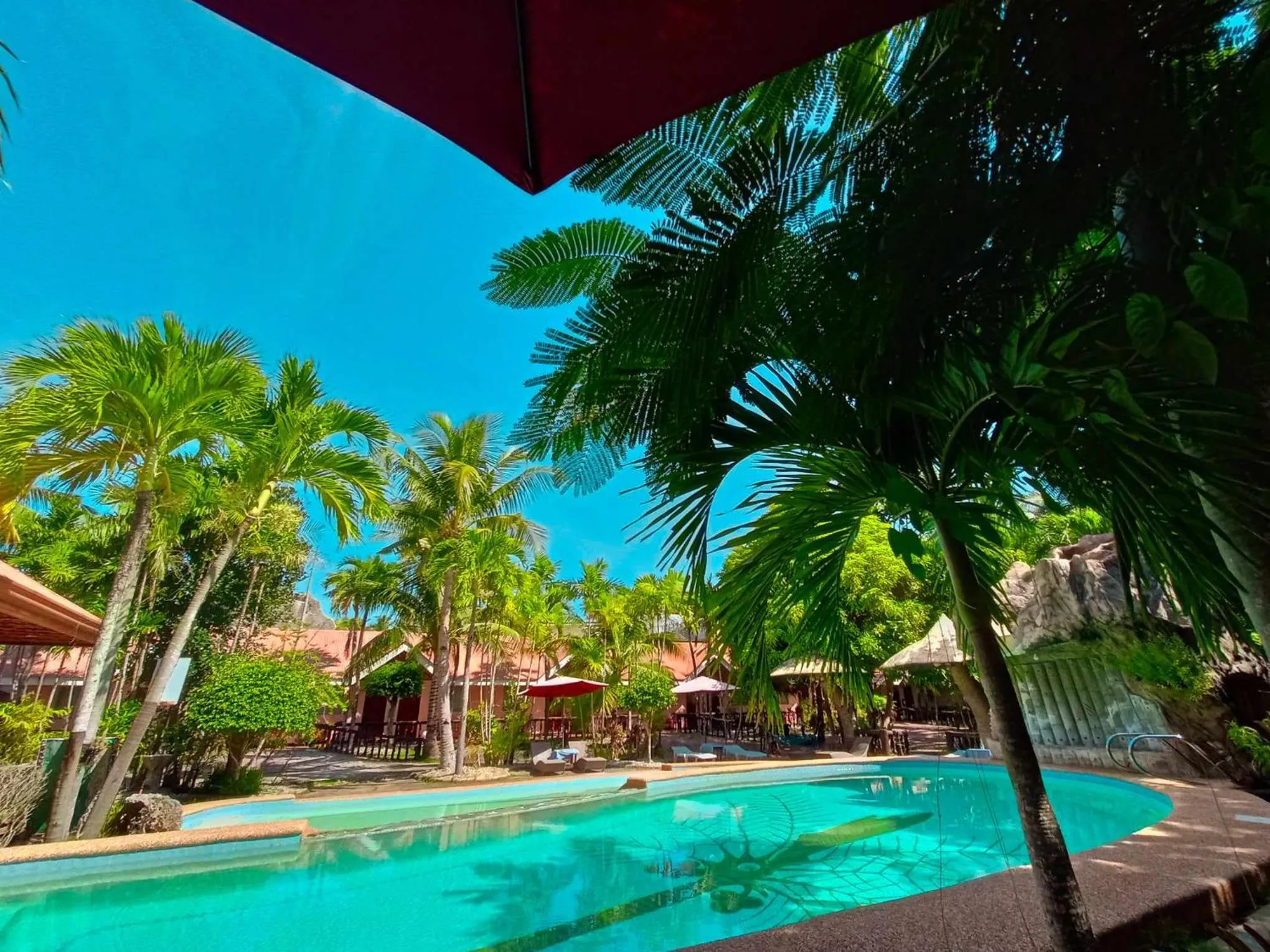 Swimming pool in Coco Grove Nature Resort