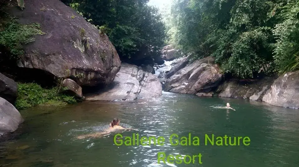 Gallene Gala Nature Resort Gallene Gala Nature Resort