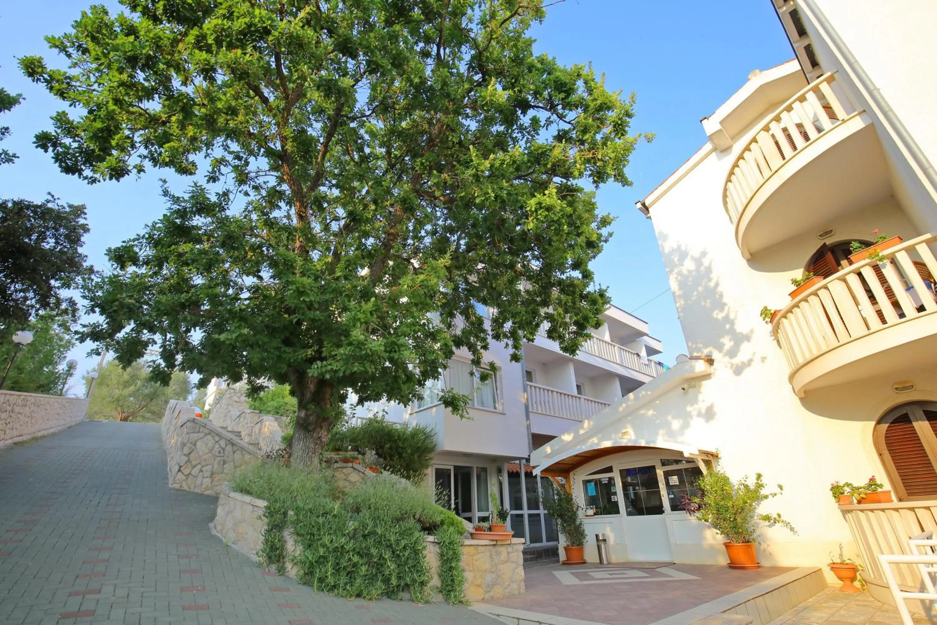 Patio in Hotel Lucija