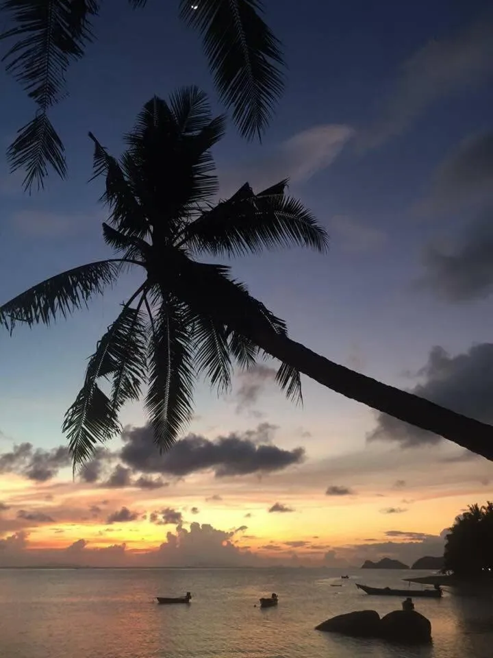 Sunset in Two Rocks Bungalows