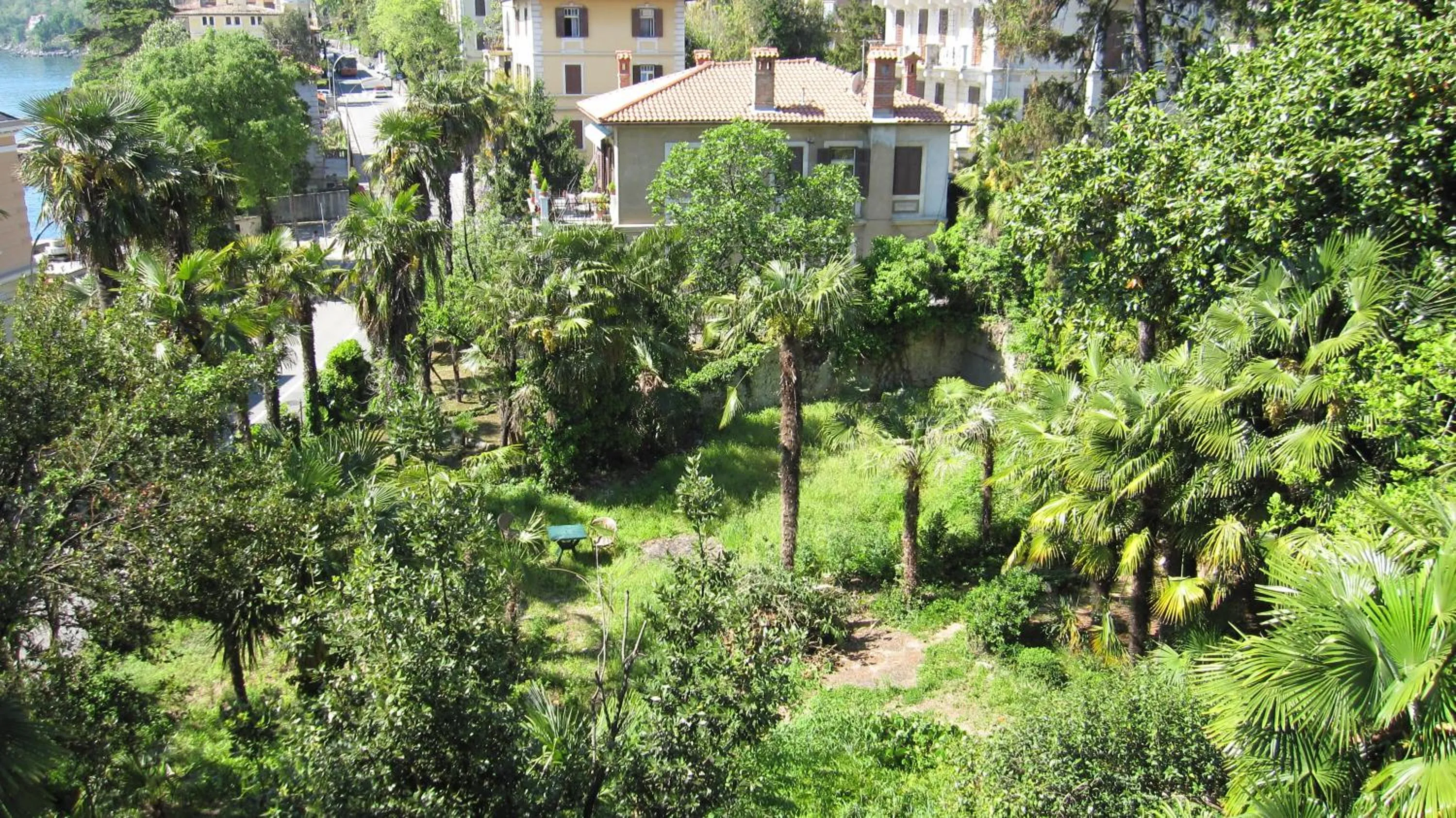 Garden in Hotel Park