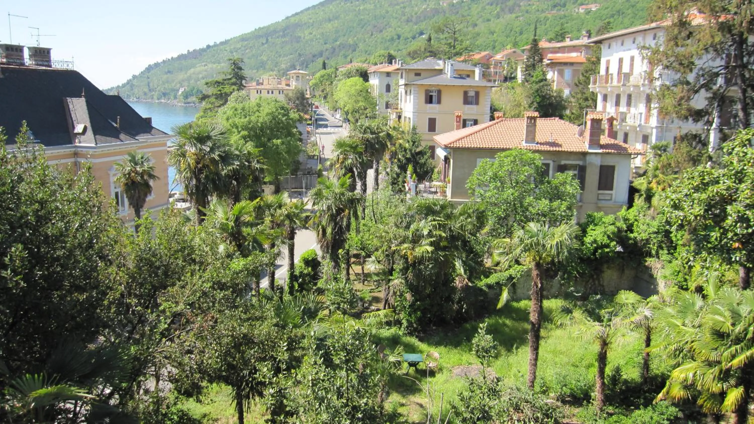 Garden in Hotel Park