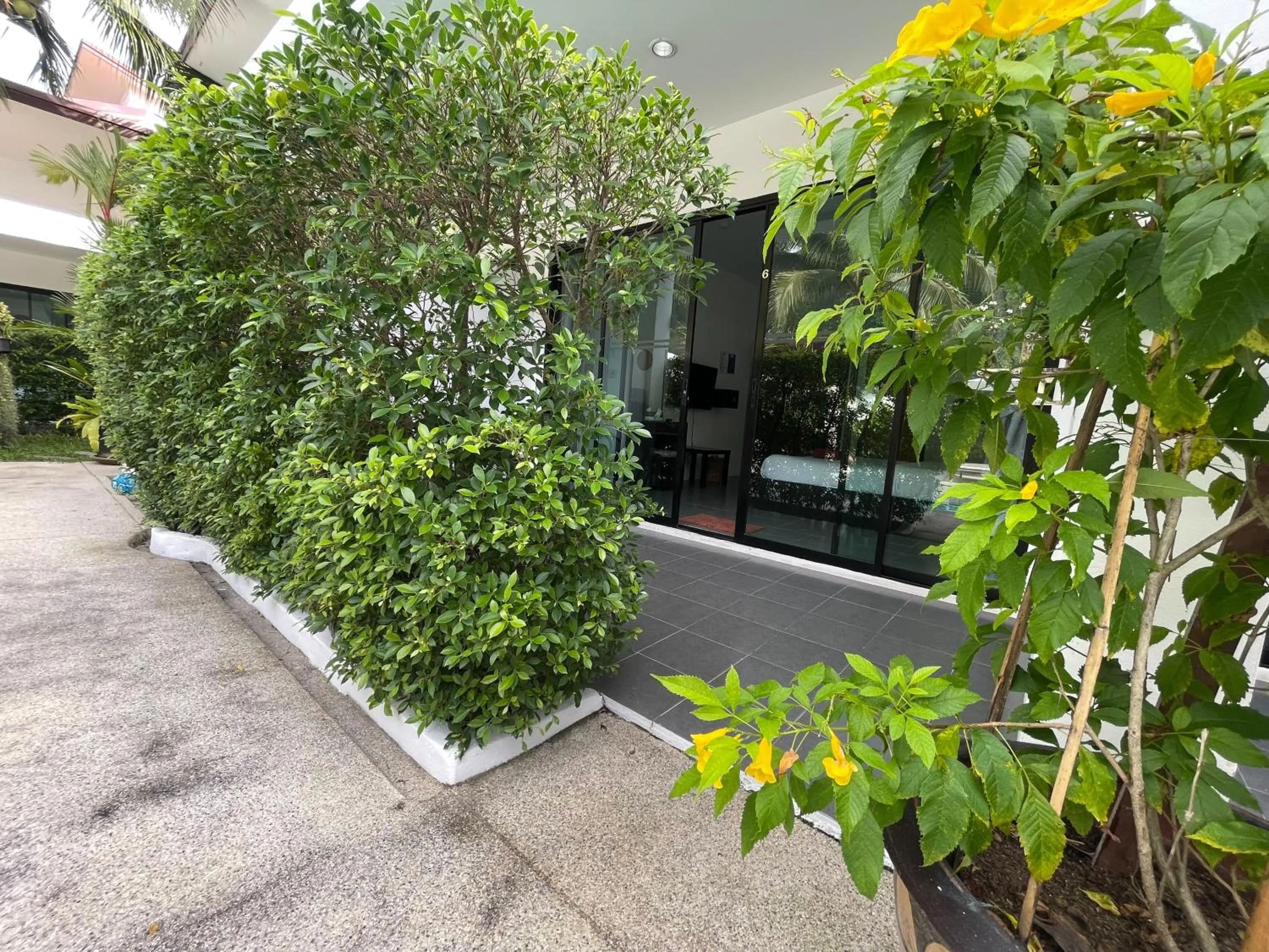 View (from property/room) in Lotus Bleu Resort & Restaurant