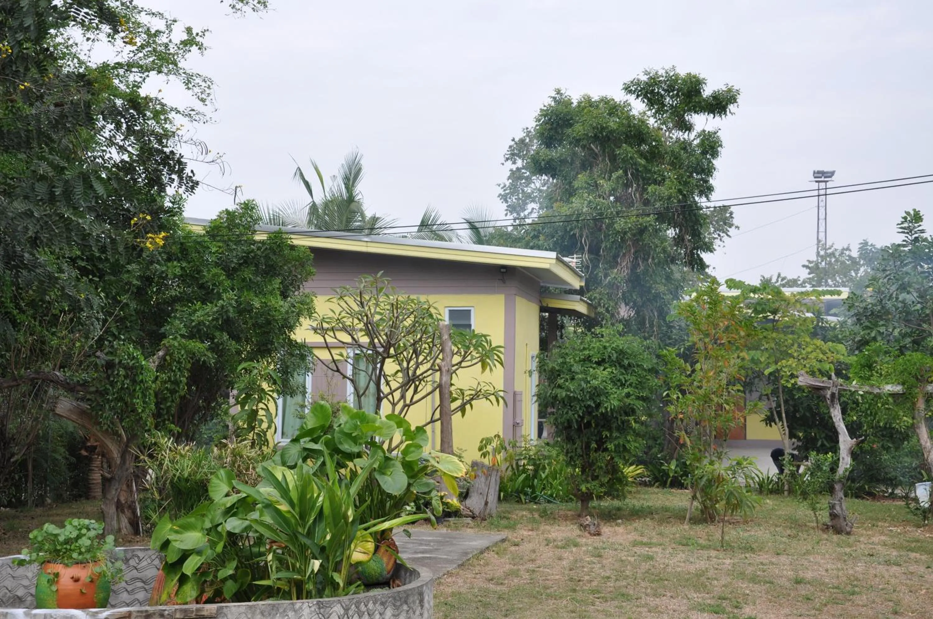 Other in Feel Good Resort