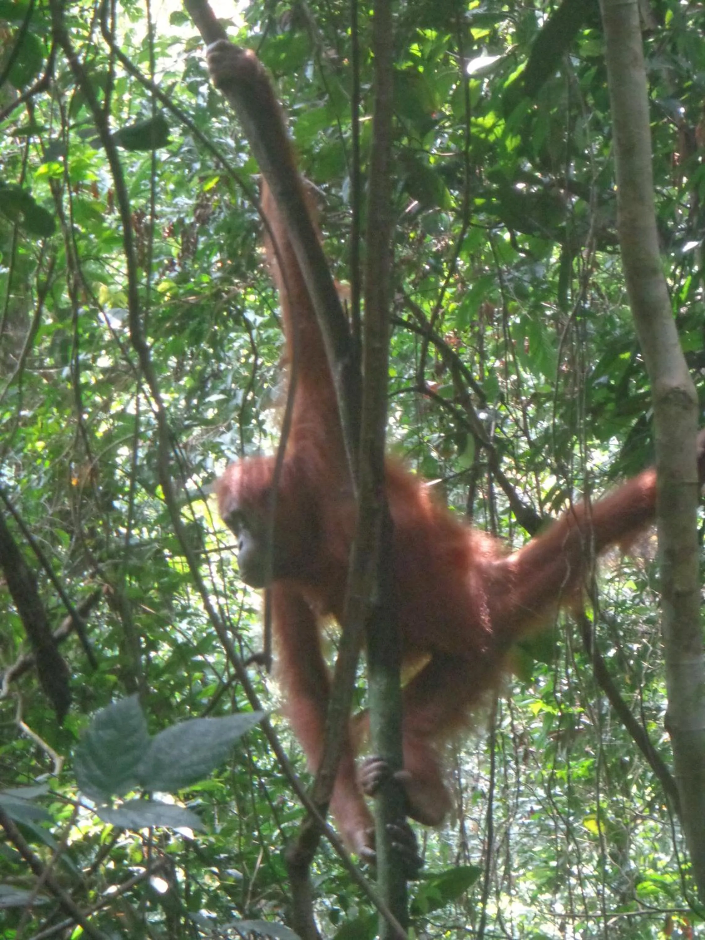 Activities in Riverside Guesthouse and Treks