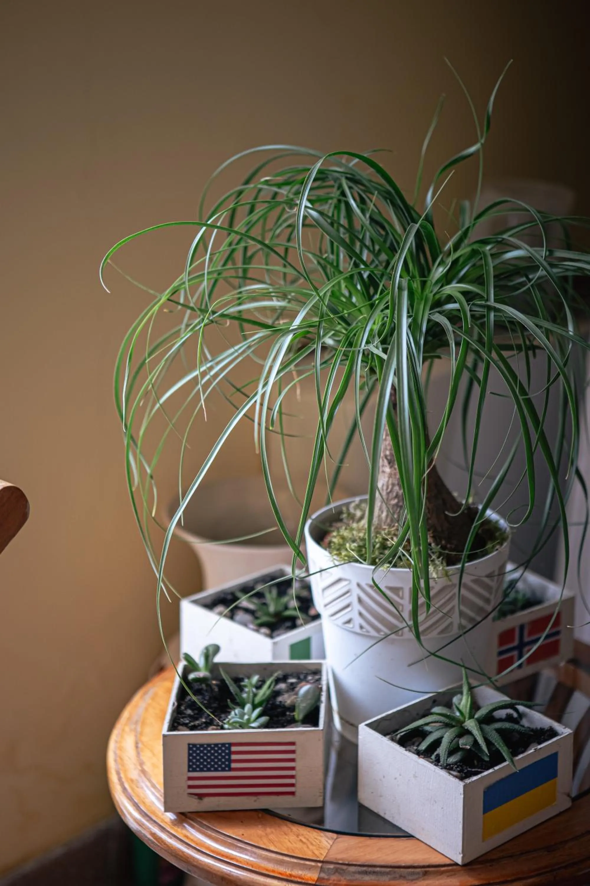 Lobby or reception in Apart-hotel Villa Lav