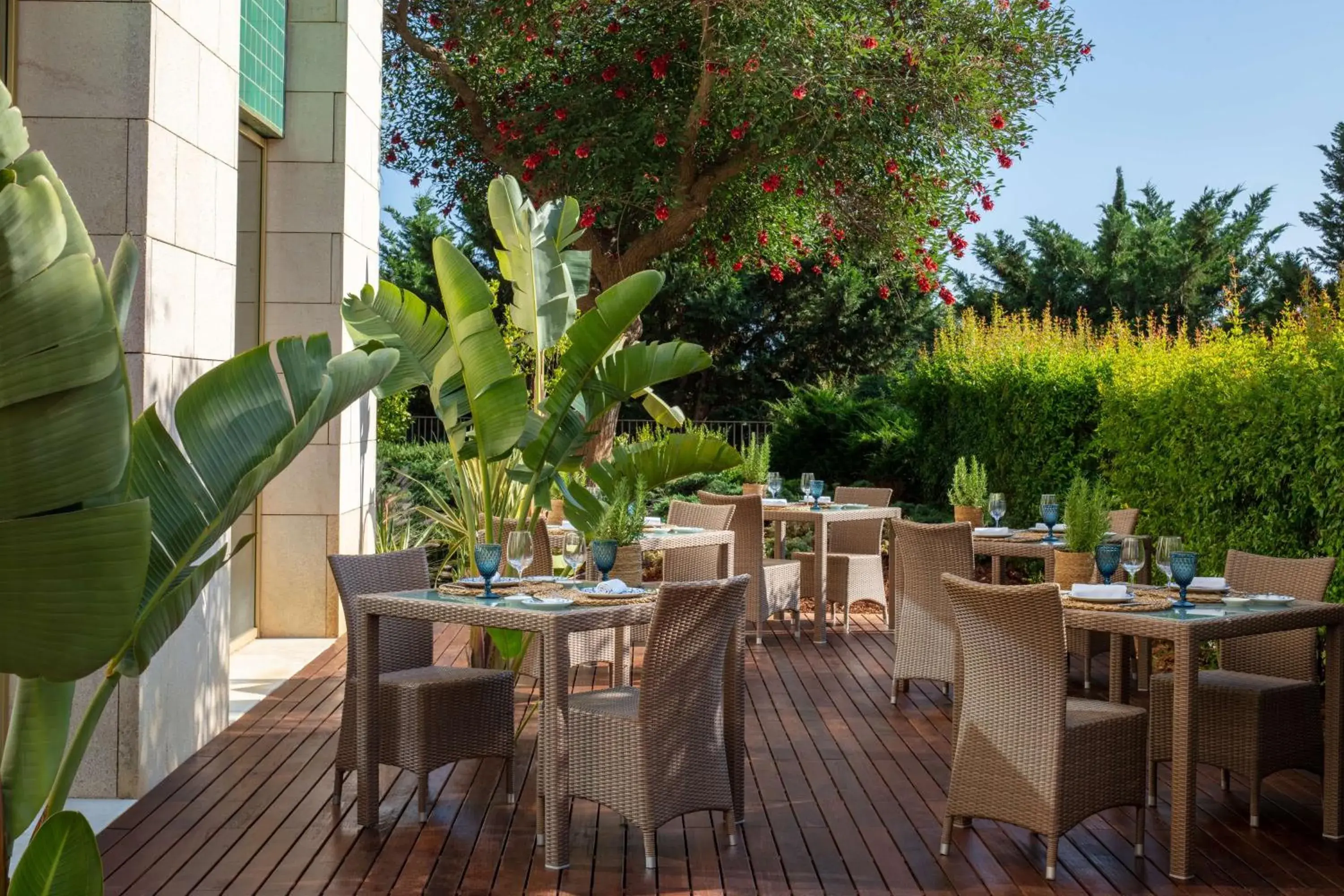 Restaurant/places to eat in Anantara Vilamoura Algarve Resort Restaurant/places to eat in Anantara Vilamoura Algarve Resort