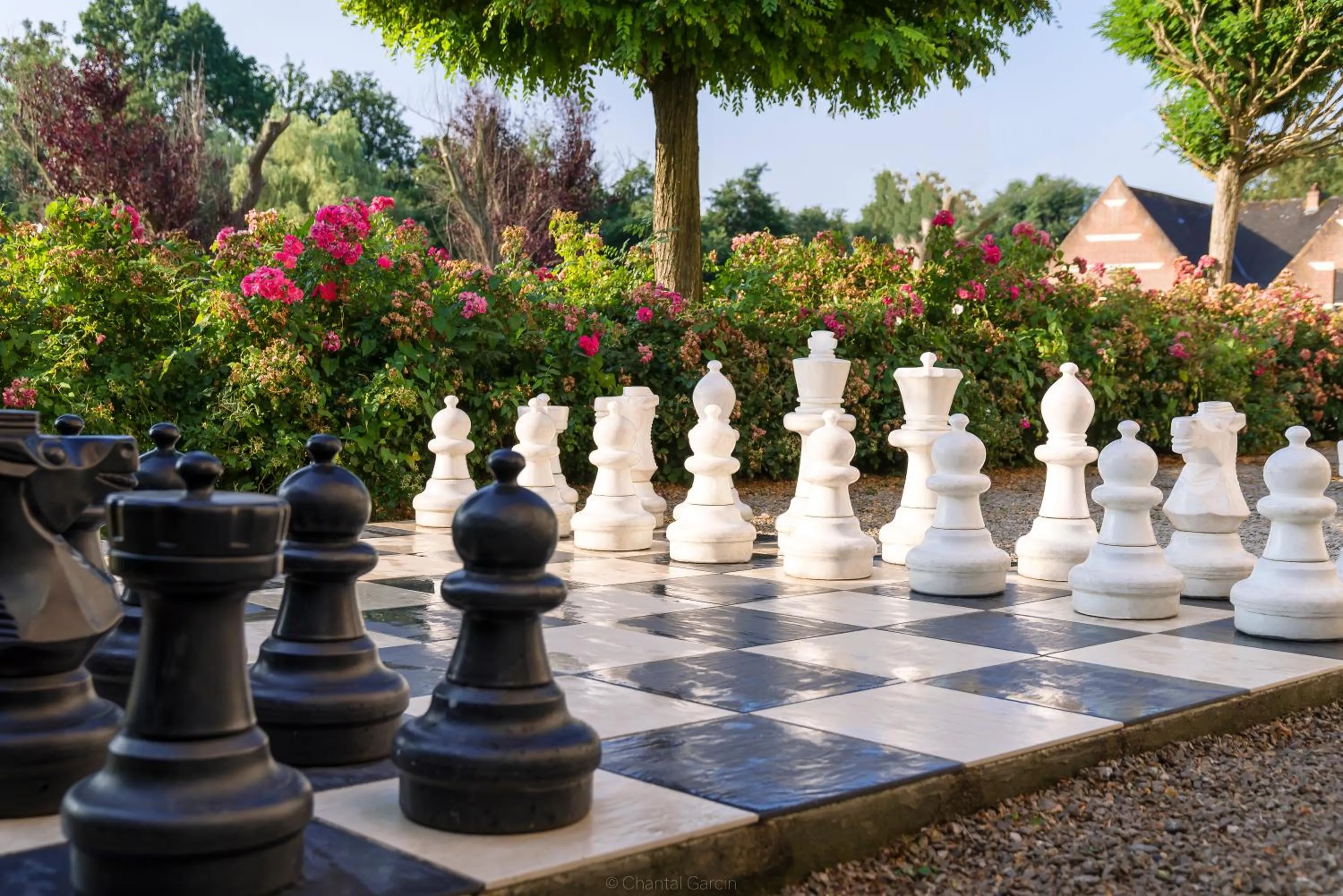 Garden in Hôtel Château Tilques