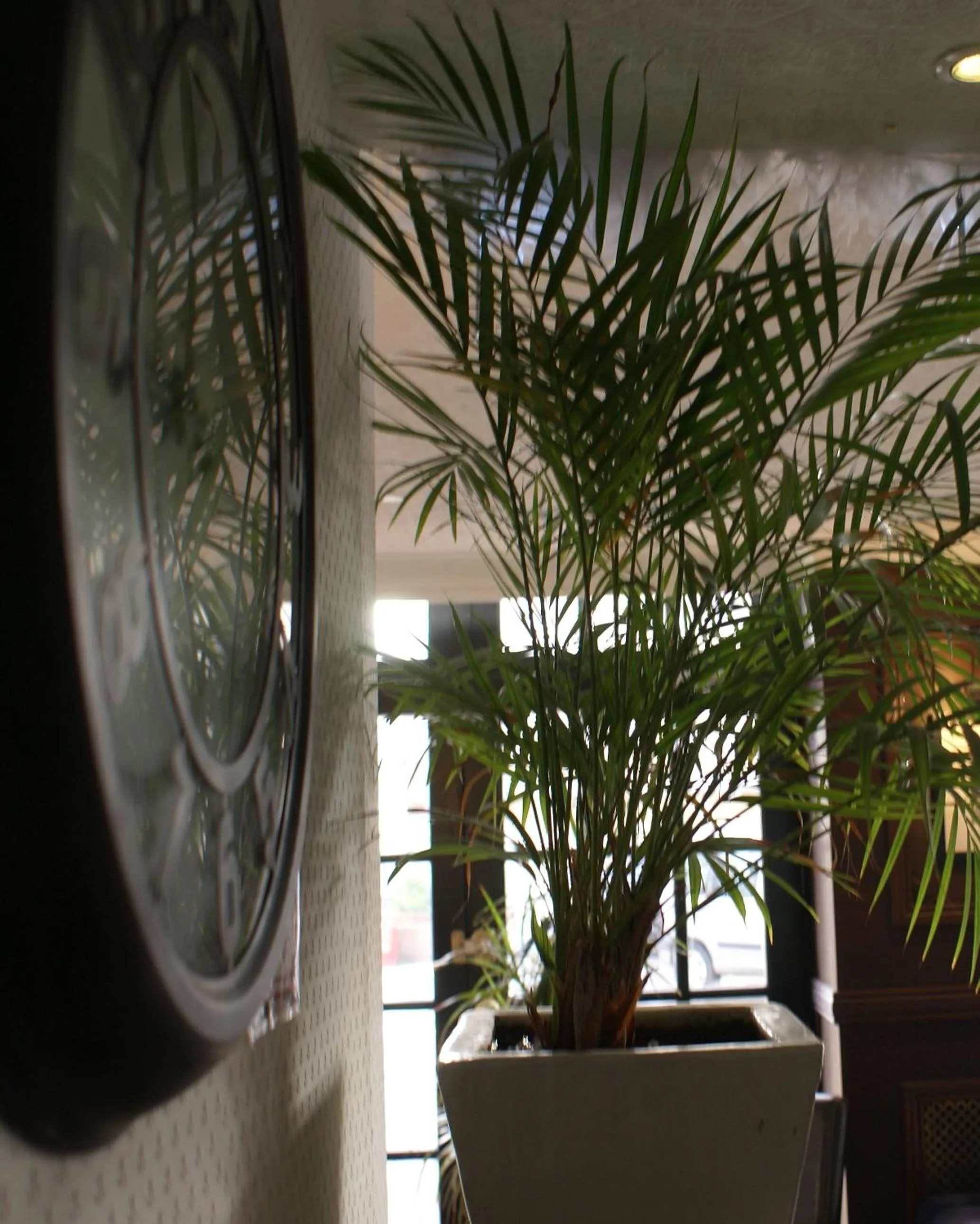 Lounge or bar in Be Cottage Hotel