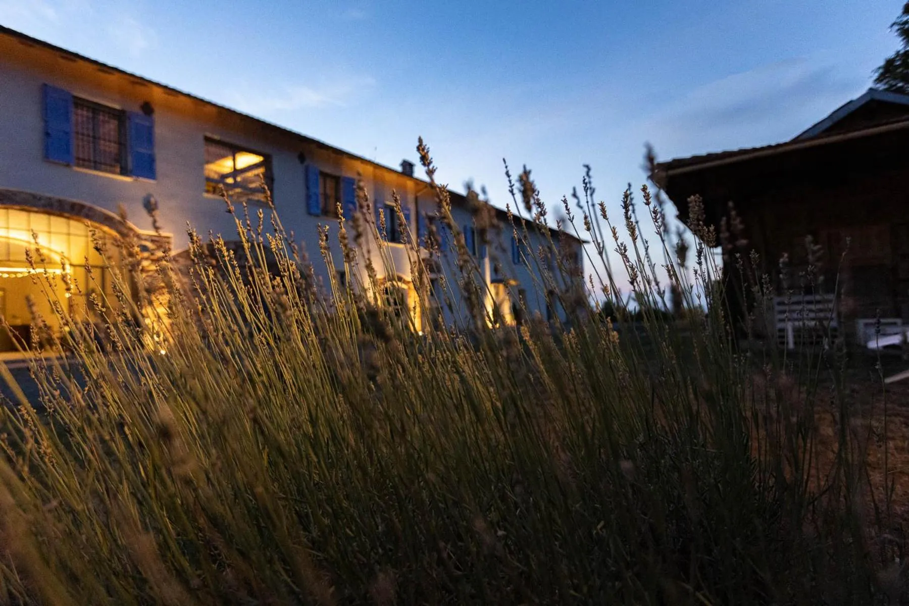 View (from property/room) in Podere Demetra