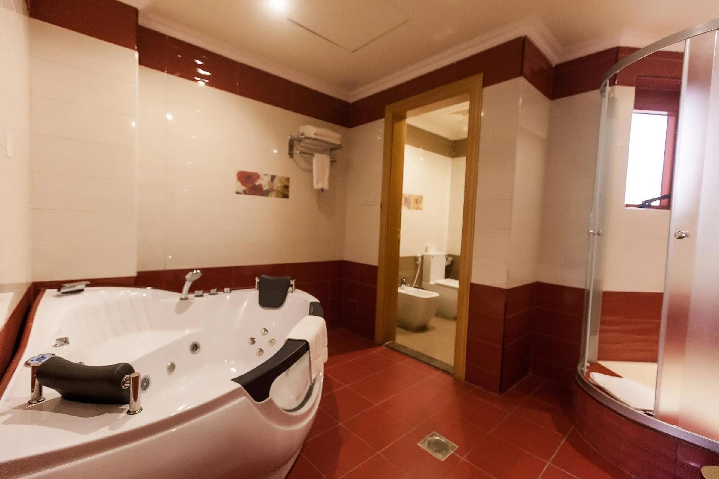 Shower in Red Castle Hotel