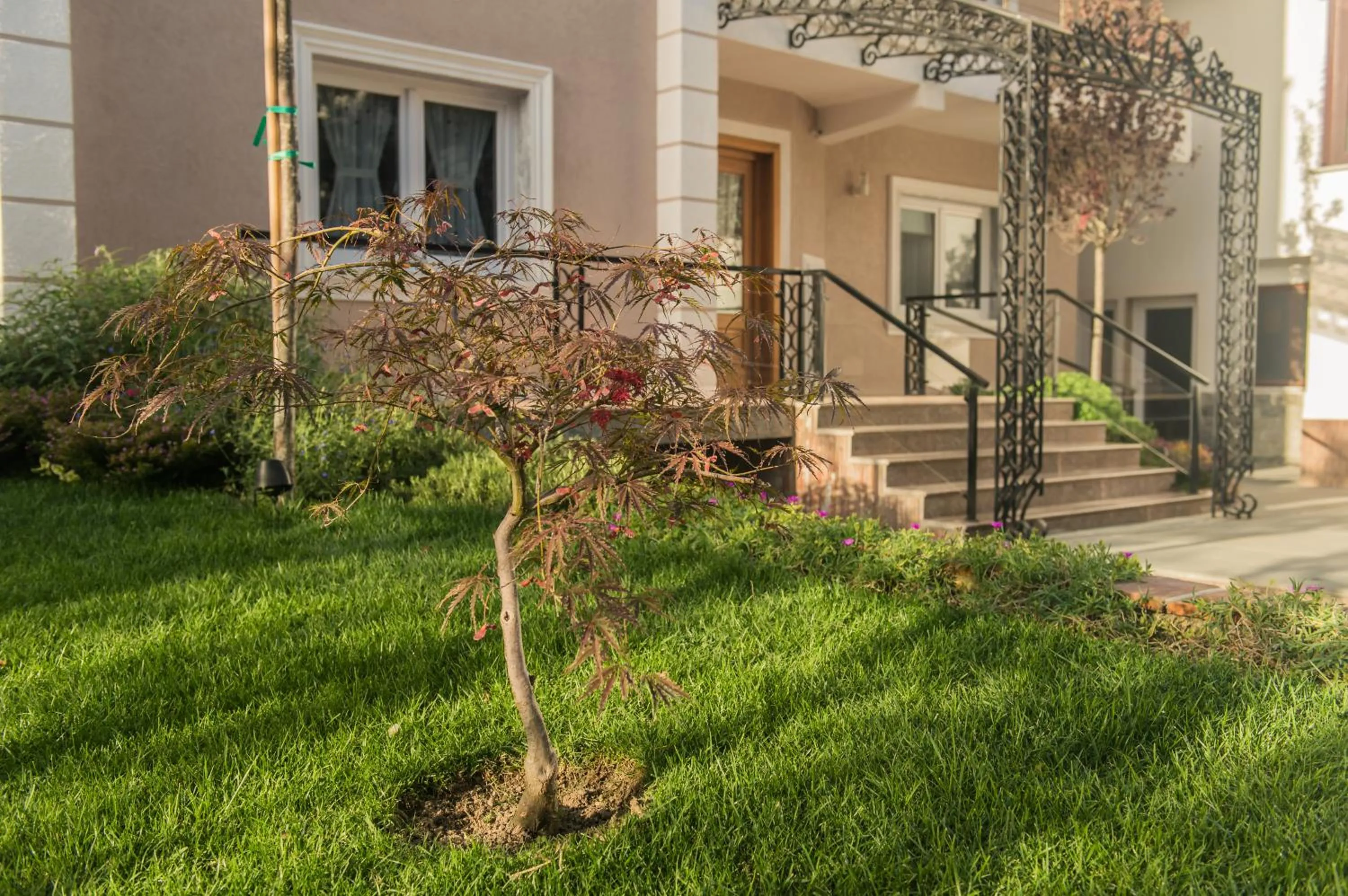 Hotel Vila Bregu