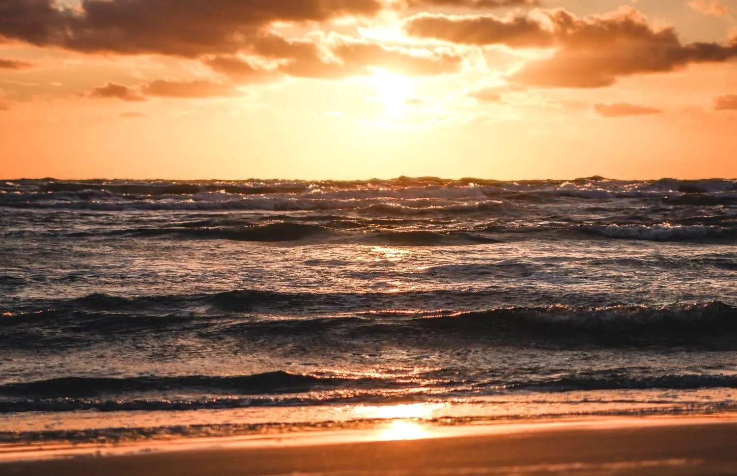 Beach in Vičiūnų poilsiavietė Šventojoje