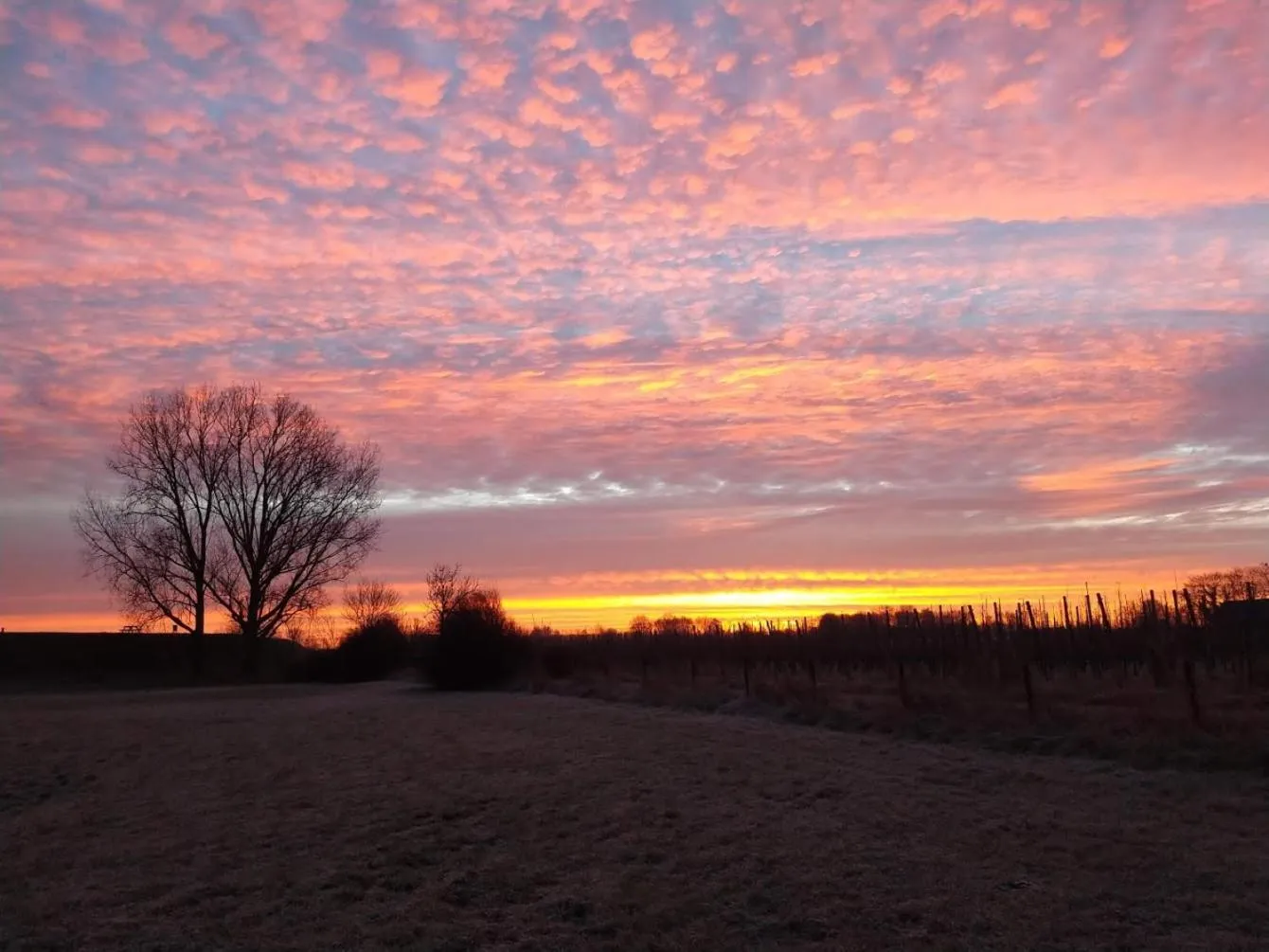 Sunset in Bed and Breakfast Maas en Waal
