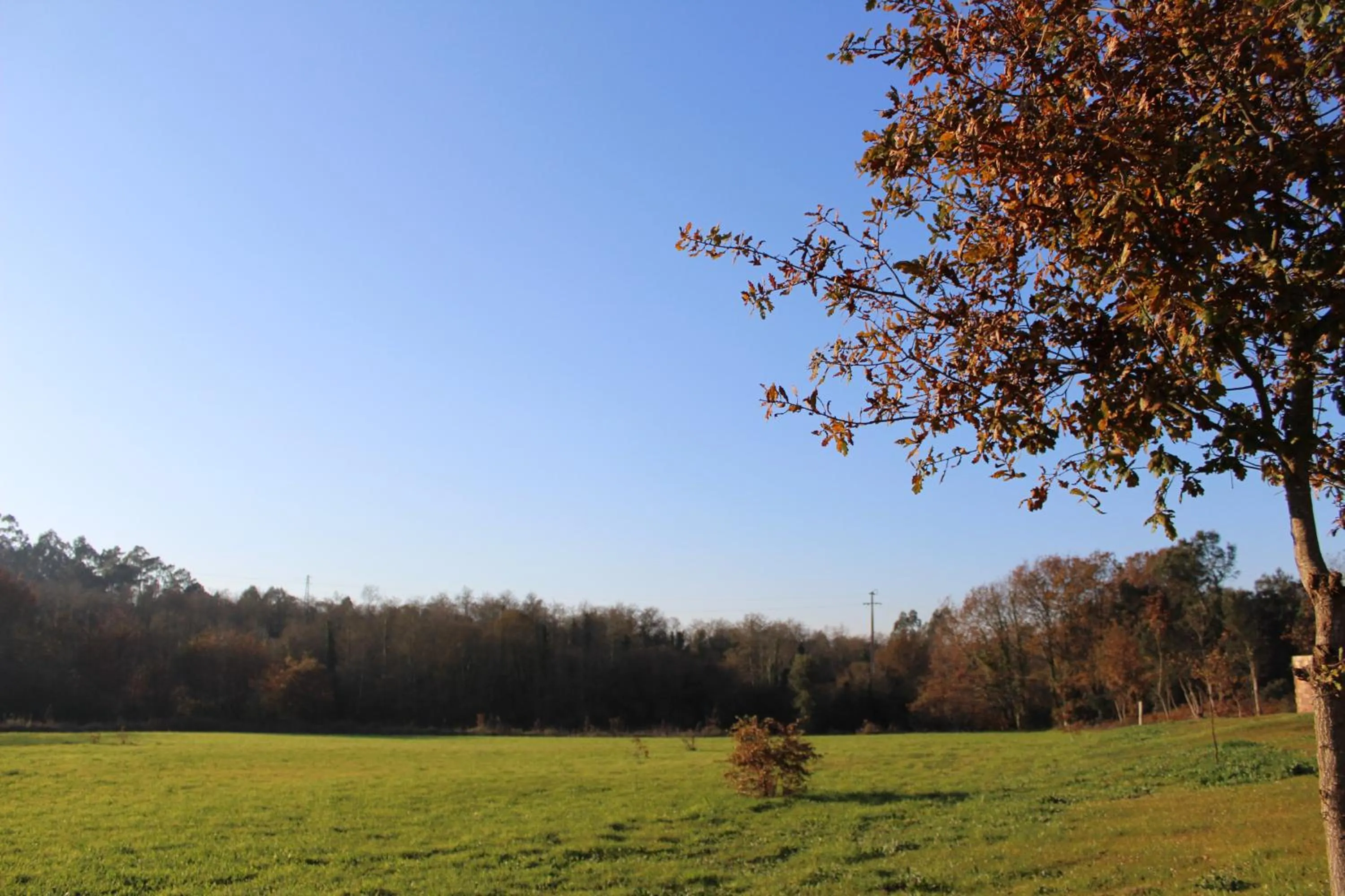 Property building in Quinta do Caminho, AL