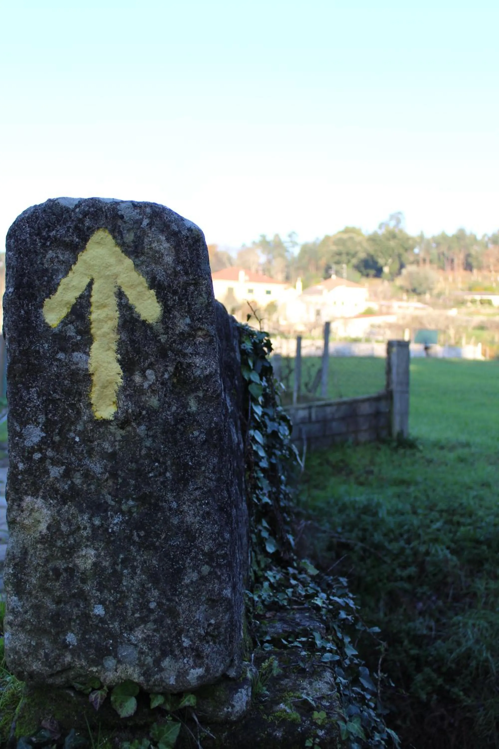 Off site in Quinta do Caminho, AL