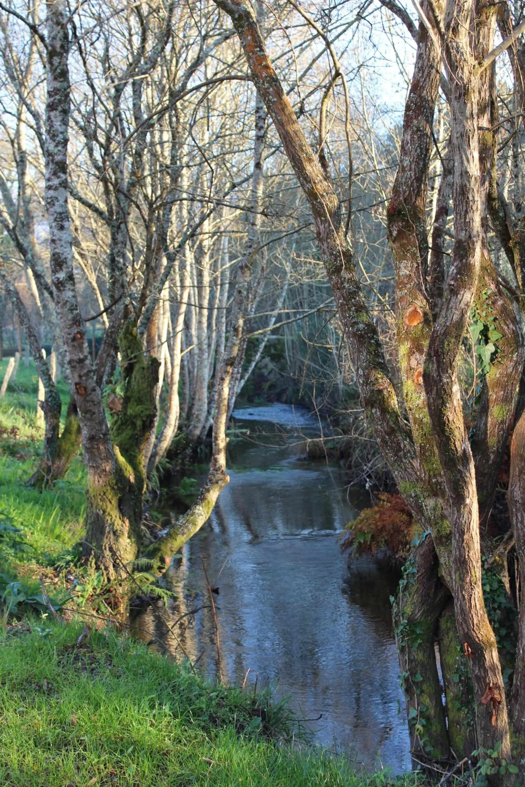 Off site in Quinta do Caminho, AL