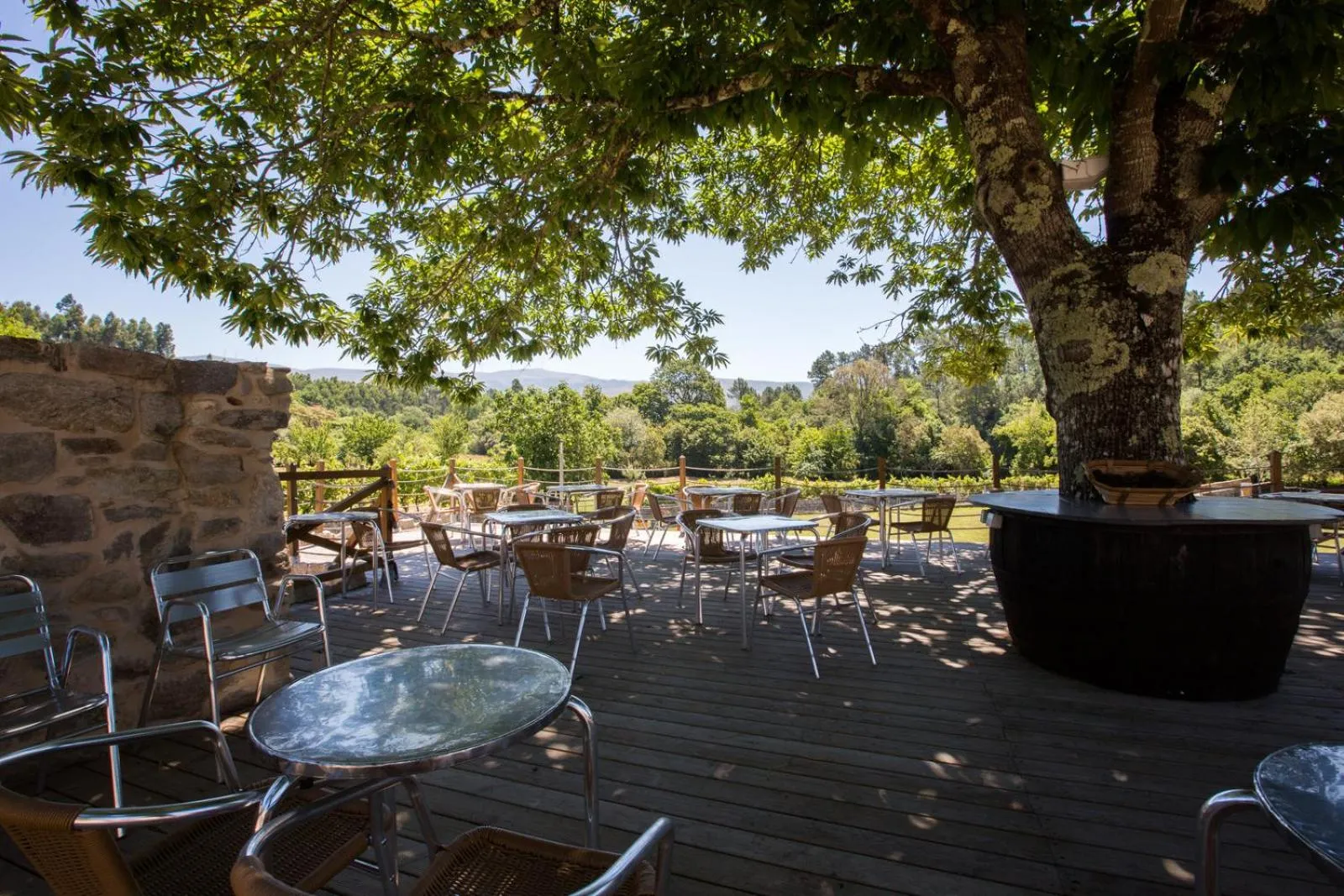 Summer in Quinta do Caminho, AL