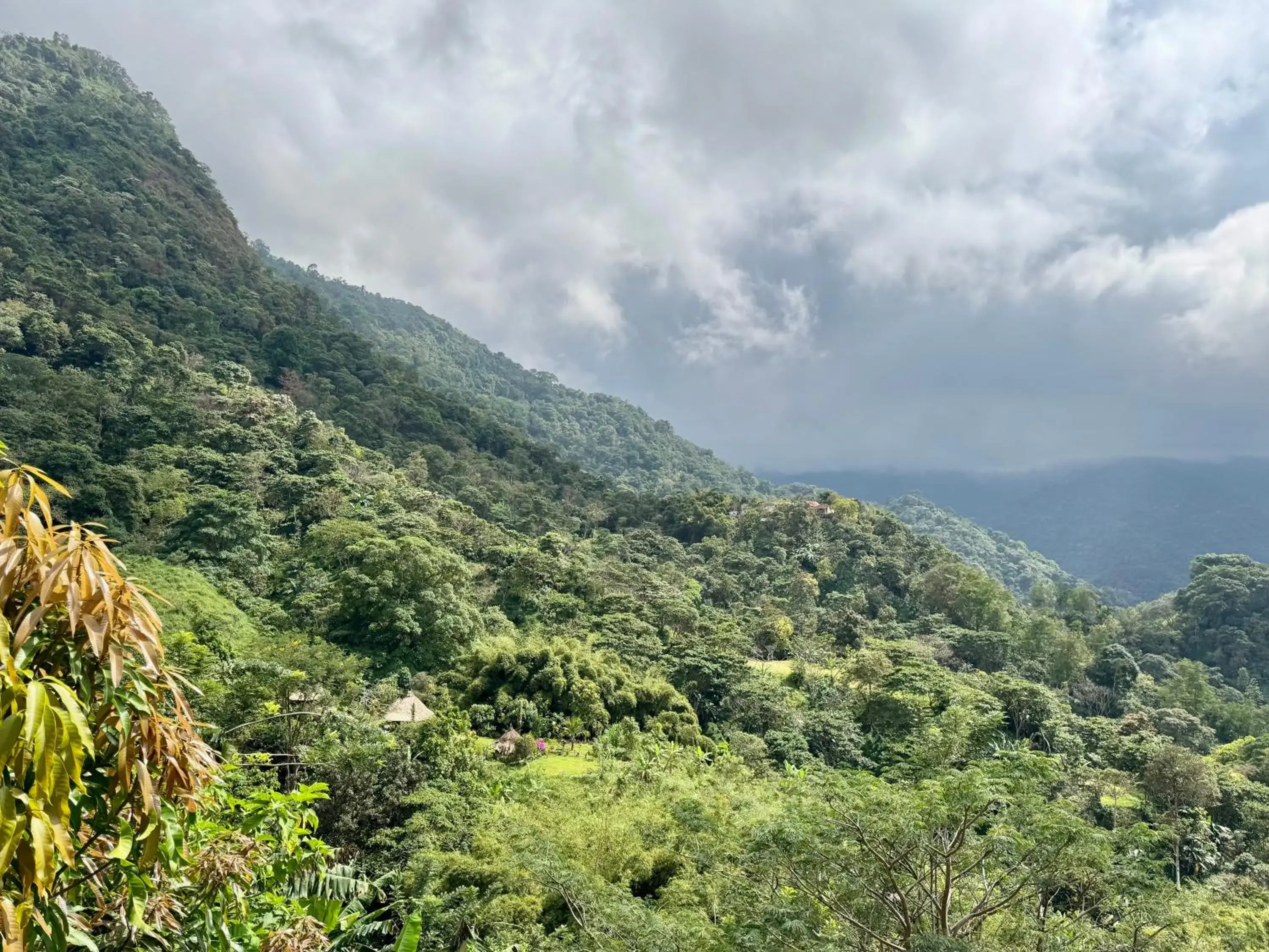 Executive Suite in Mundo Nuevo ECO LODGE Executive Suite in Mundo Nuevo ECO LODGE