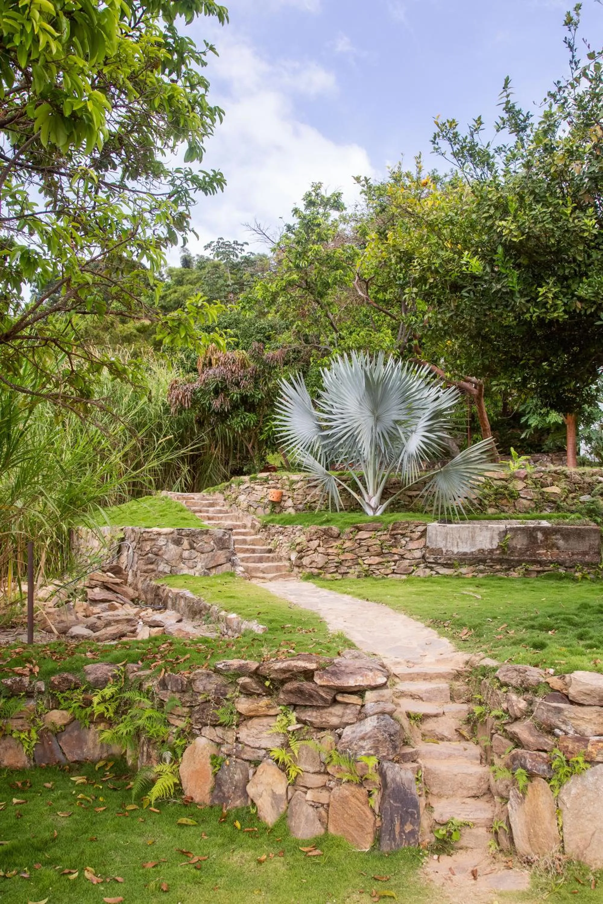 Natural landscape in Mundo Nuevo ECO LODGE
